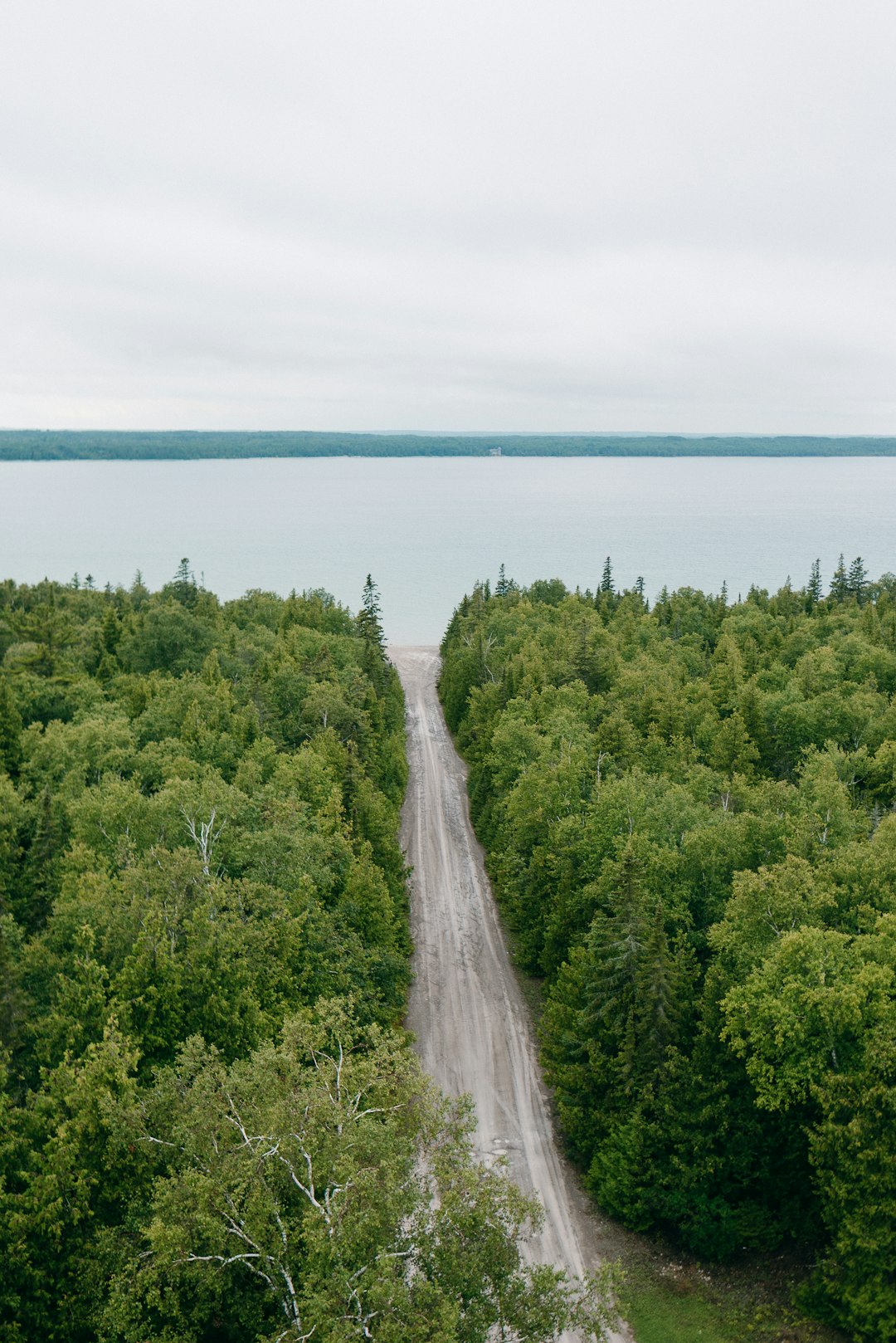 green trees near body of water during daytime