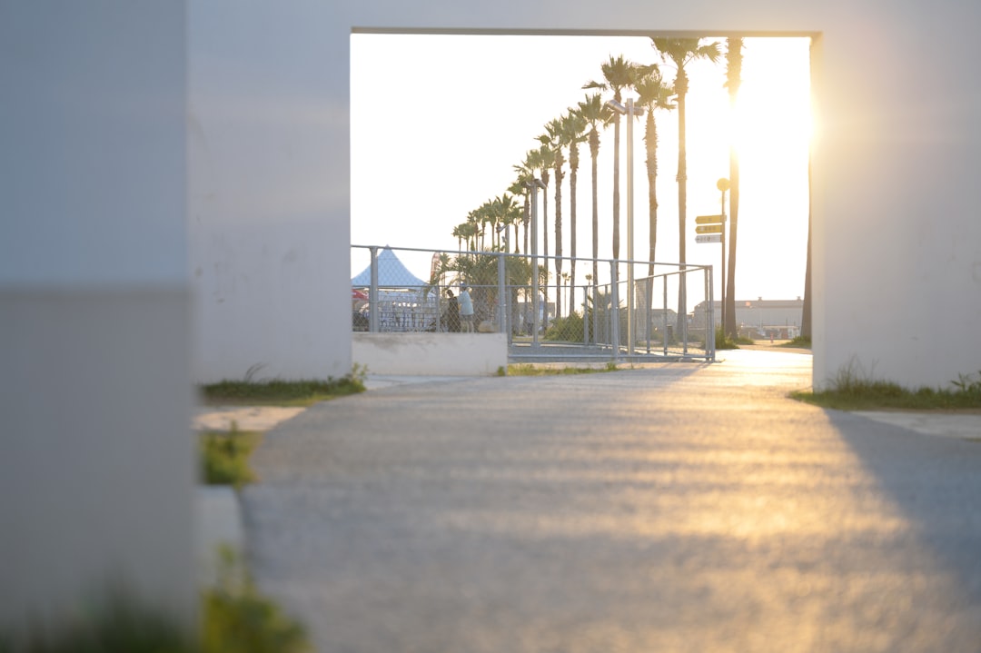 green palm trees near white concrete building during daytime