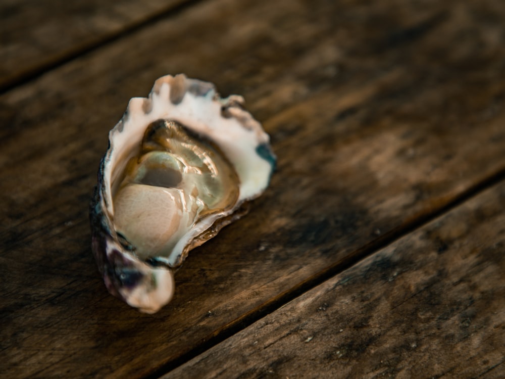 white and brown seashell on brown wooden table