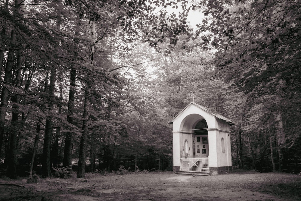 white wooden house in the middle of forest