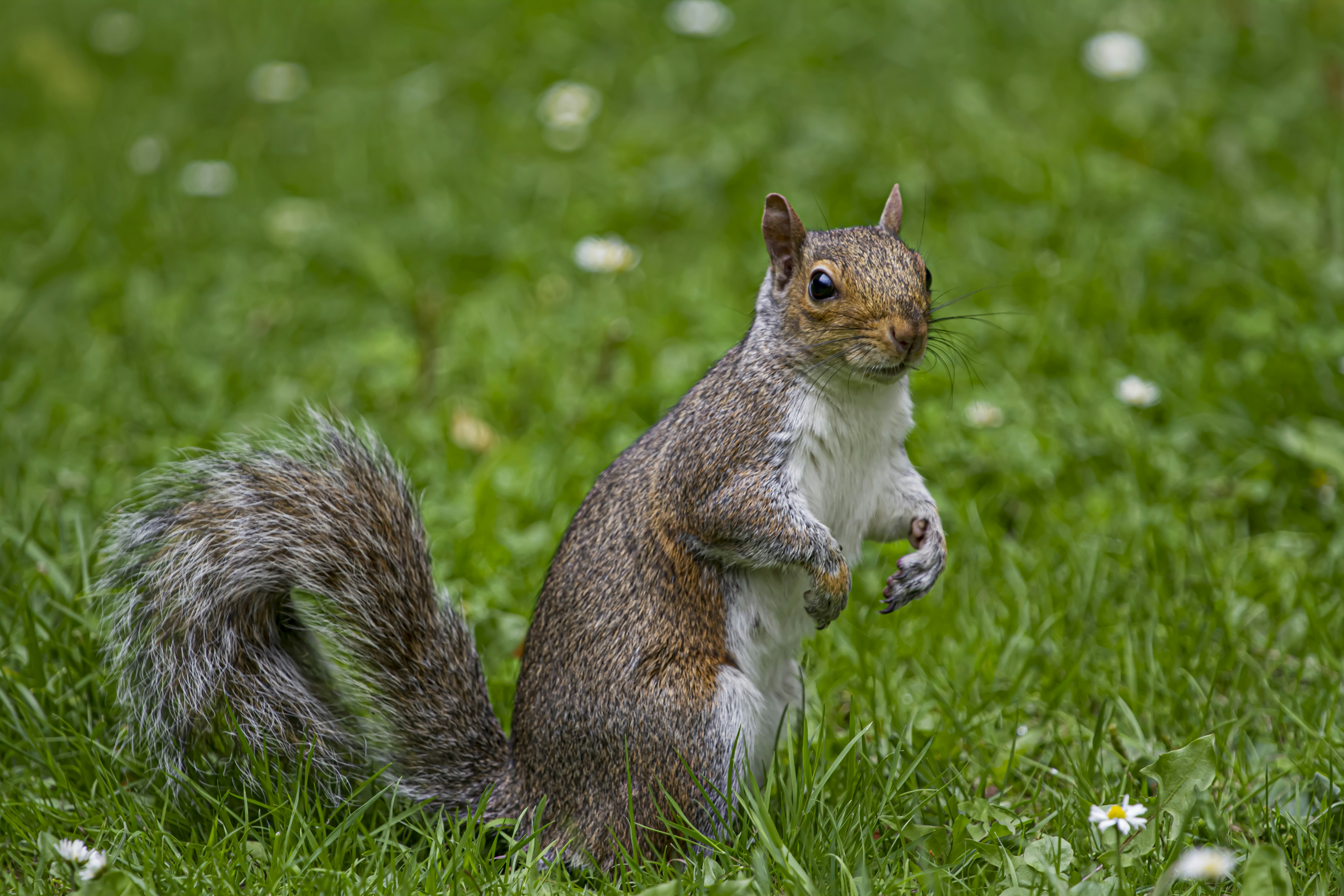 Photo by lisinszkyphoto