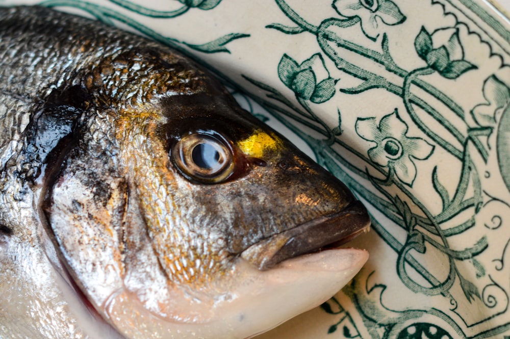 silver and black fish on white and green textile