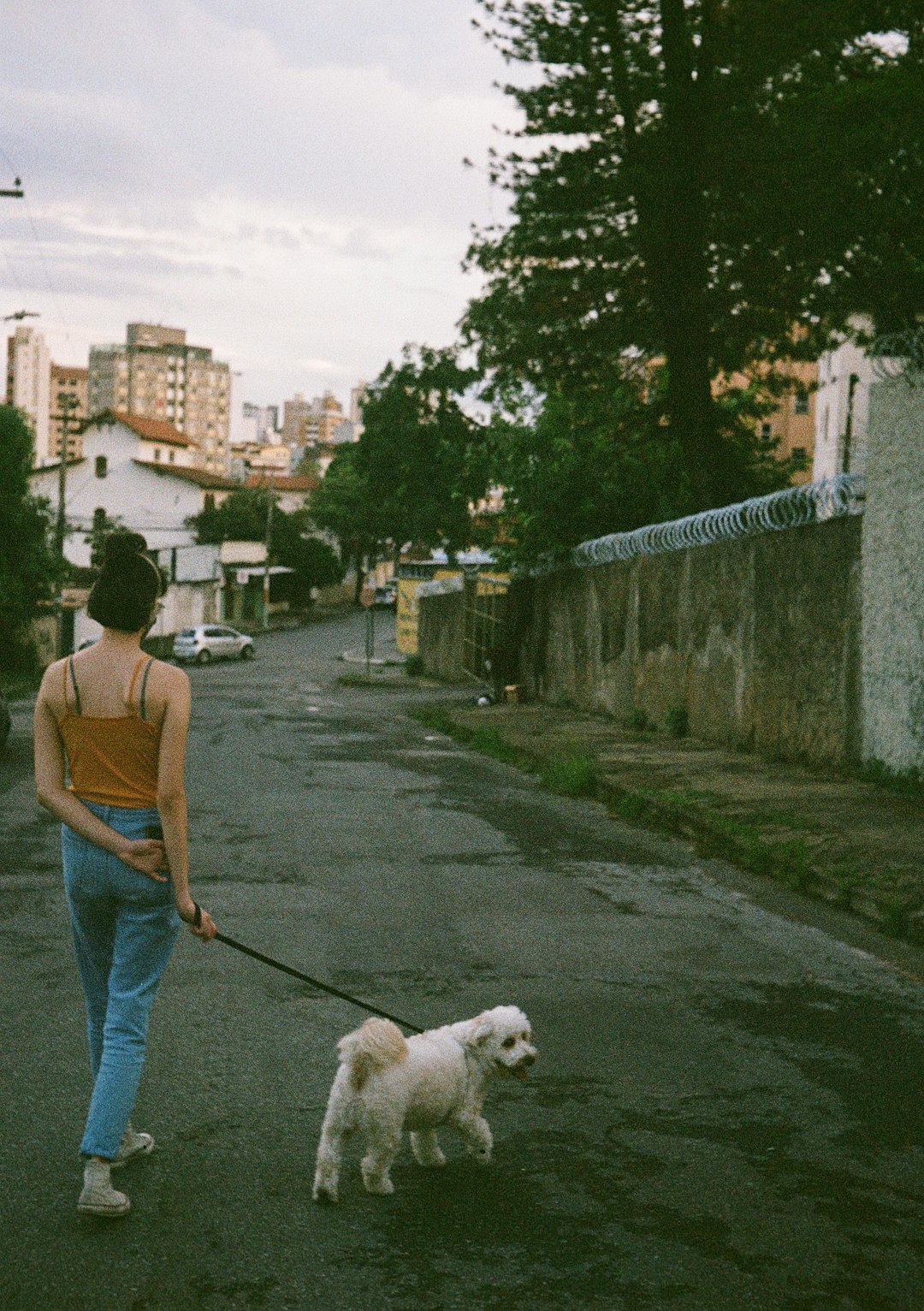 woman in green t-shirt and blue denim jeans holding dog leash walking on sidewalk during