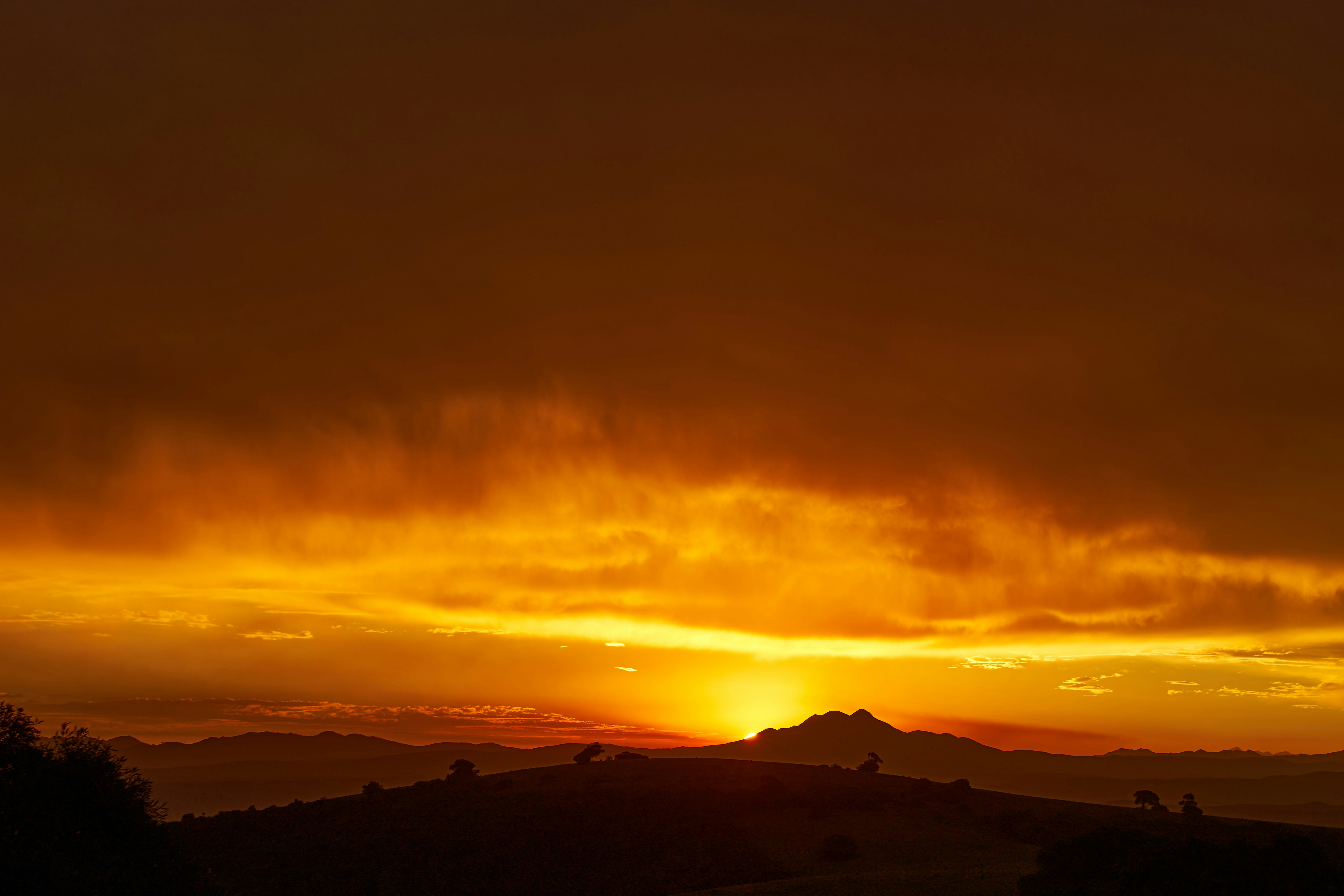 Photo by wolfgang_hasselmann