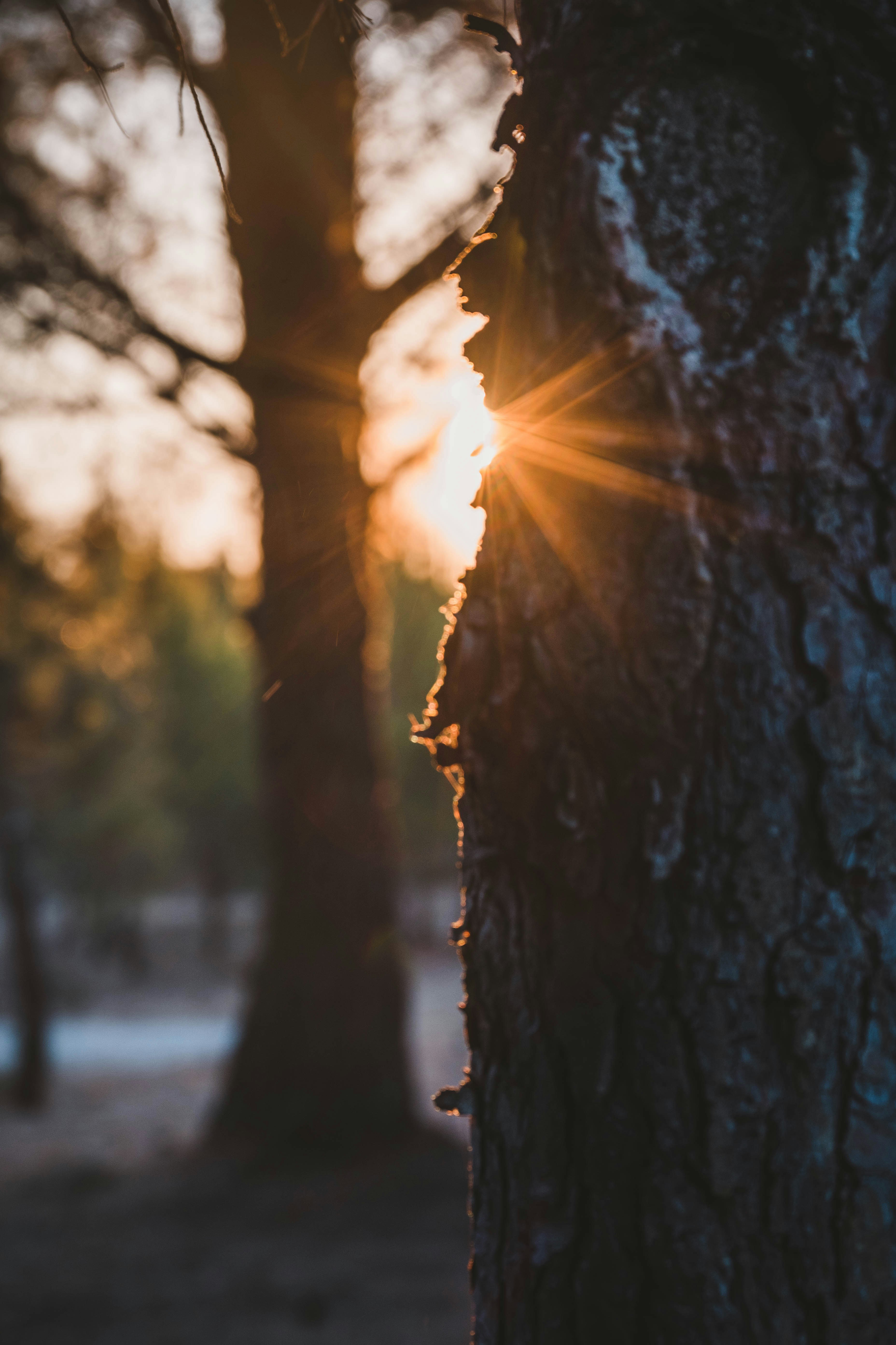 Photo by morgan_pstr