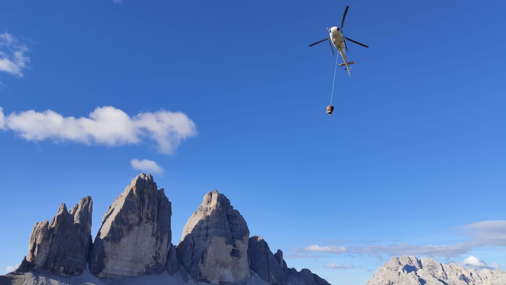 black and white bird flying over the mountain during daytime