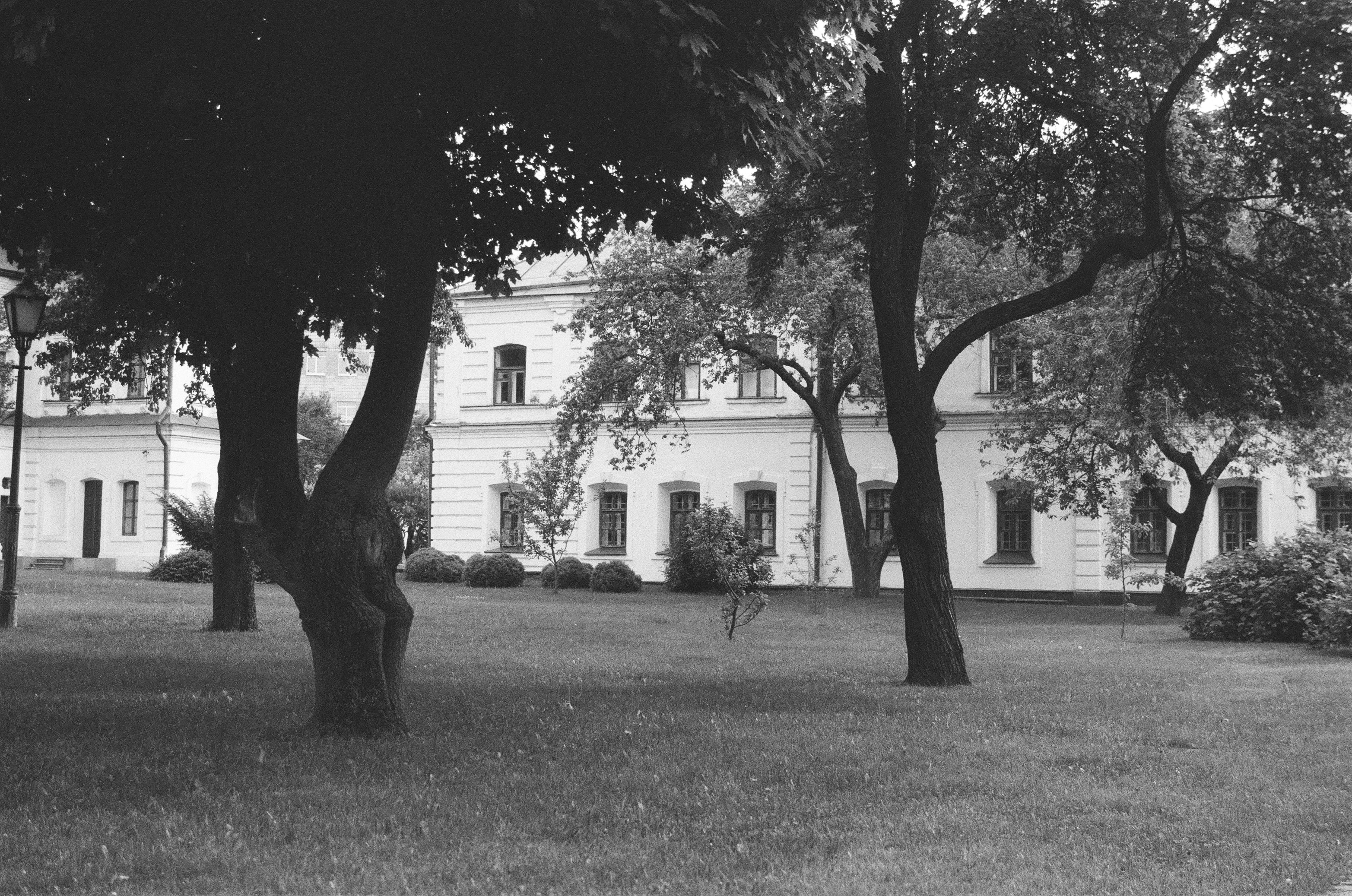 grayscale photo of tree near house
