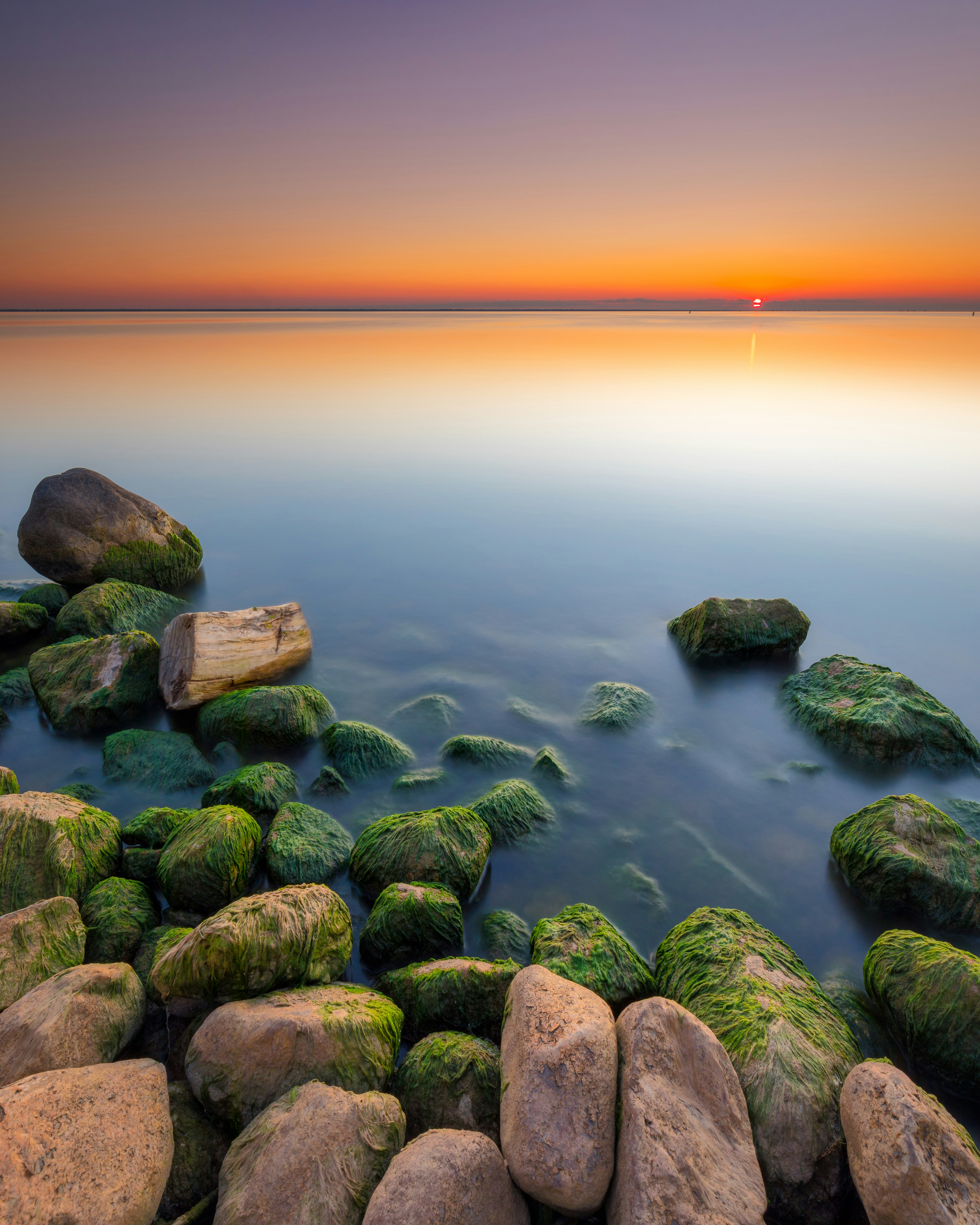 green moss on rocks on water during sunset
