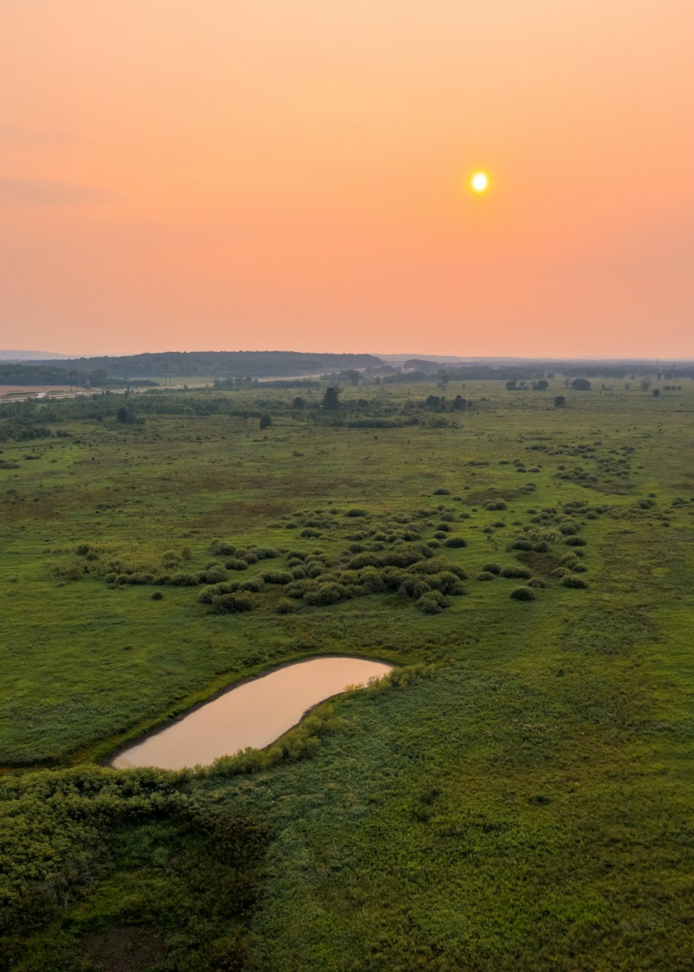 Campo de hierba verde durante el día