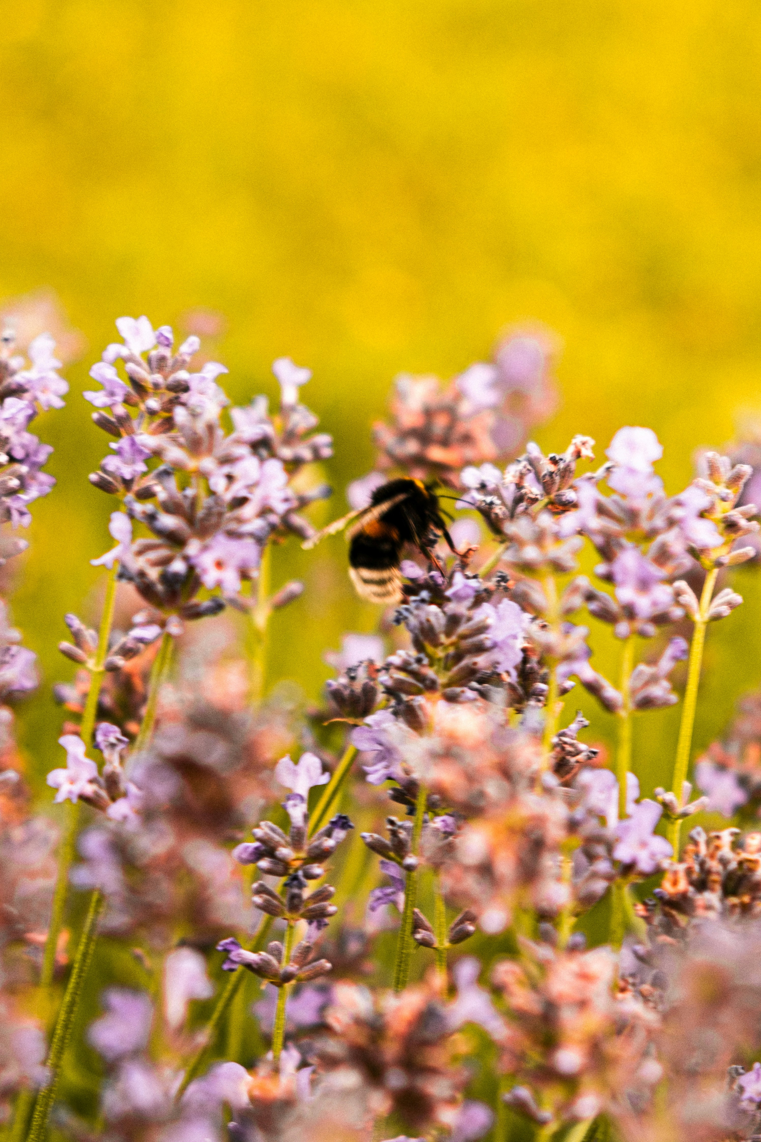 Photo by moritz_photography