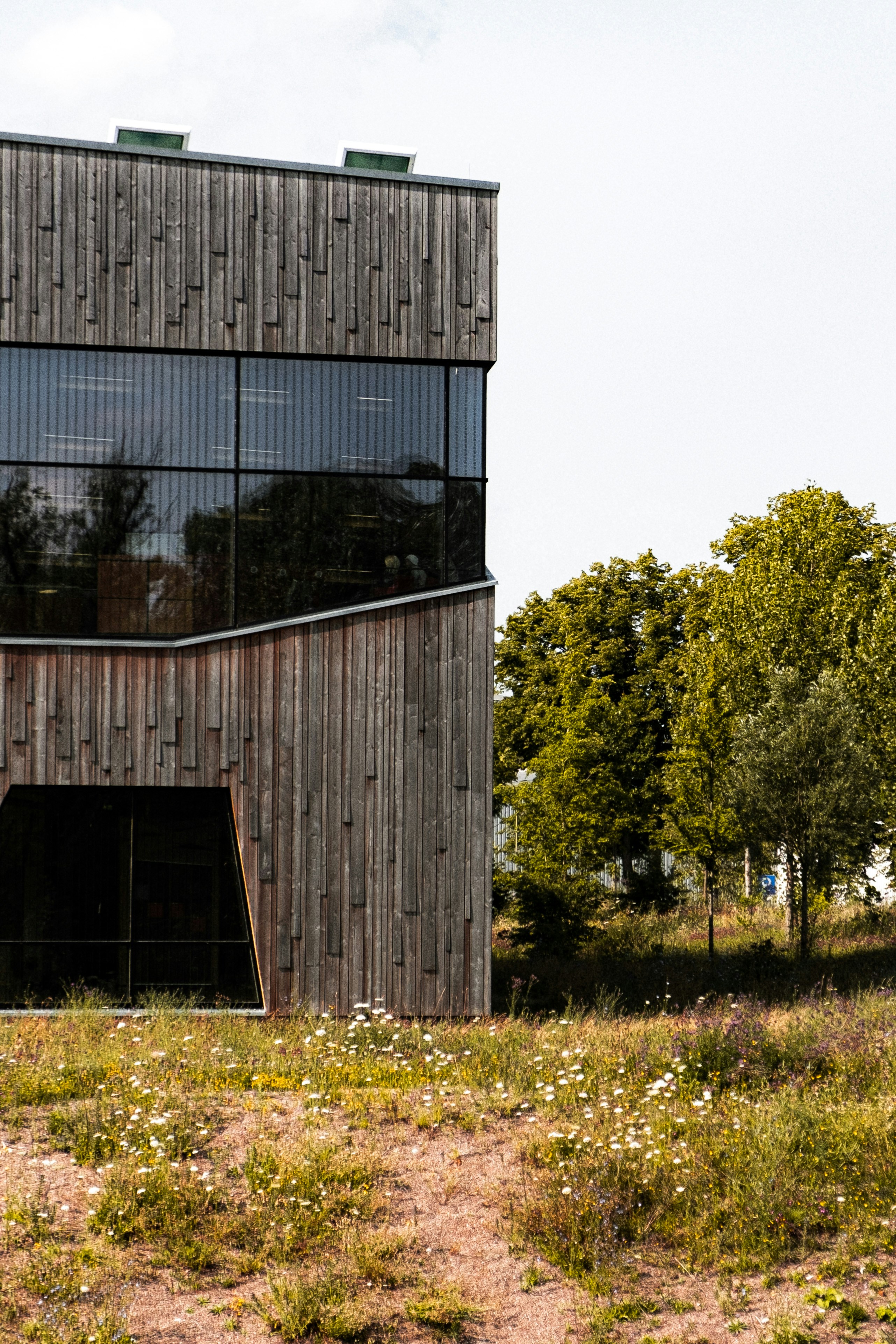 Photo by moritz_photography