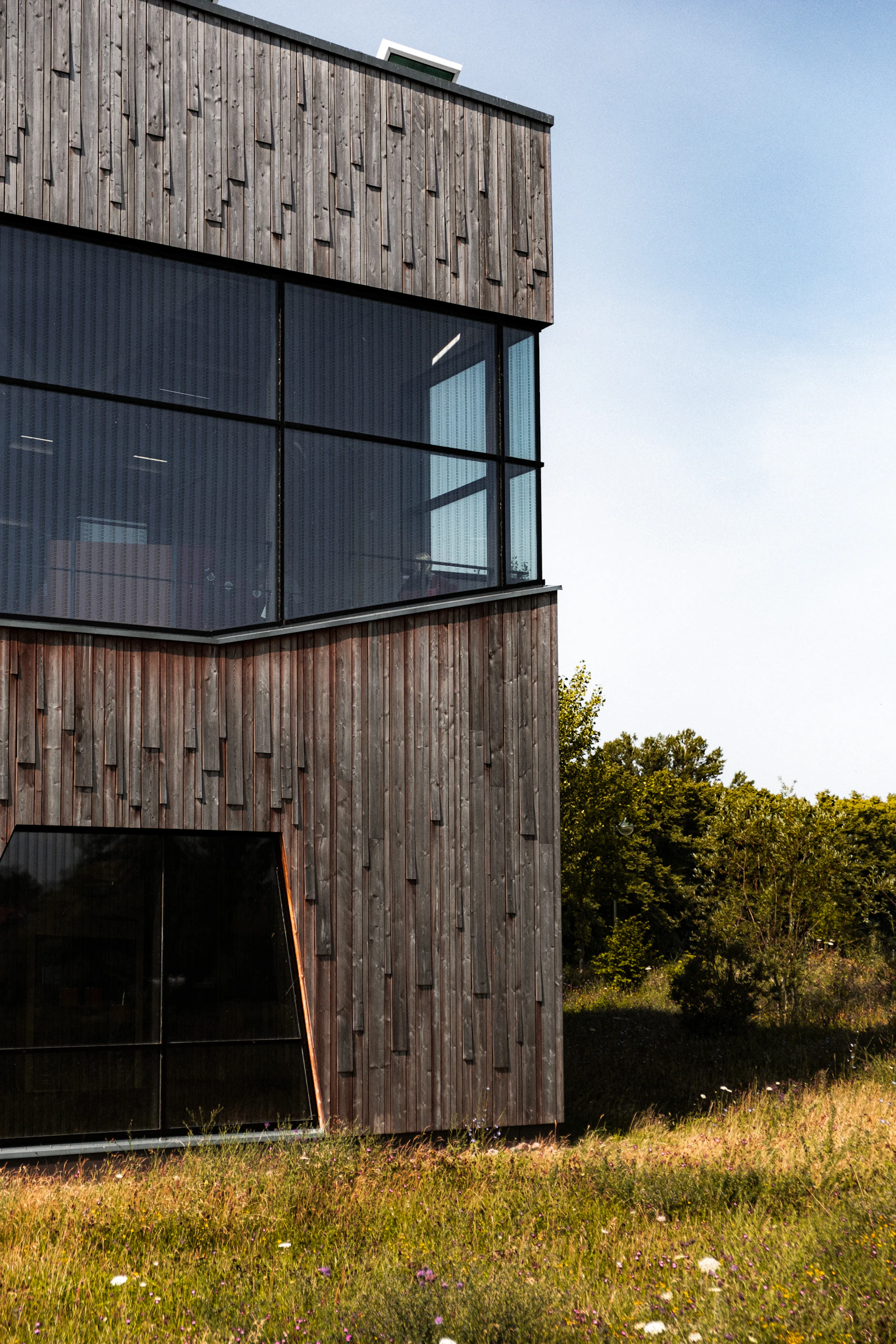 Architect-designed family home clad in vertical timber