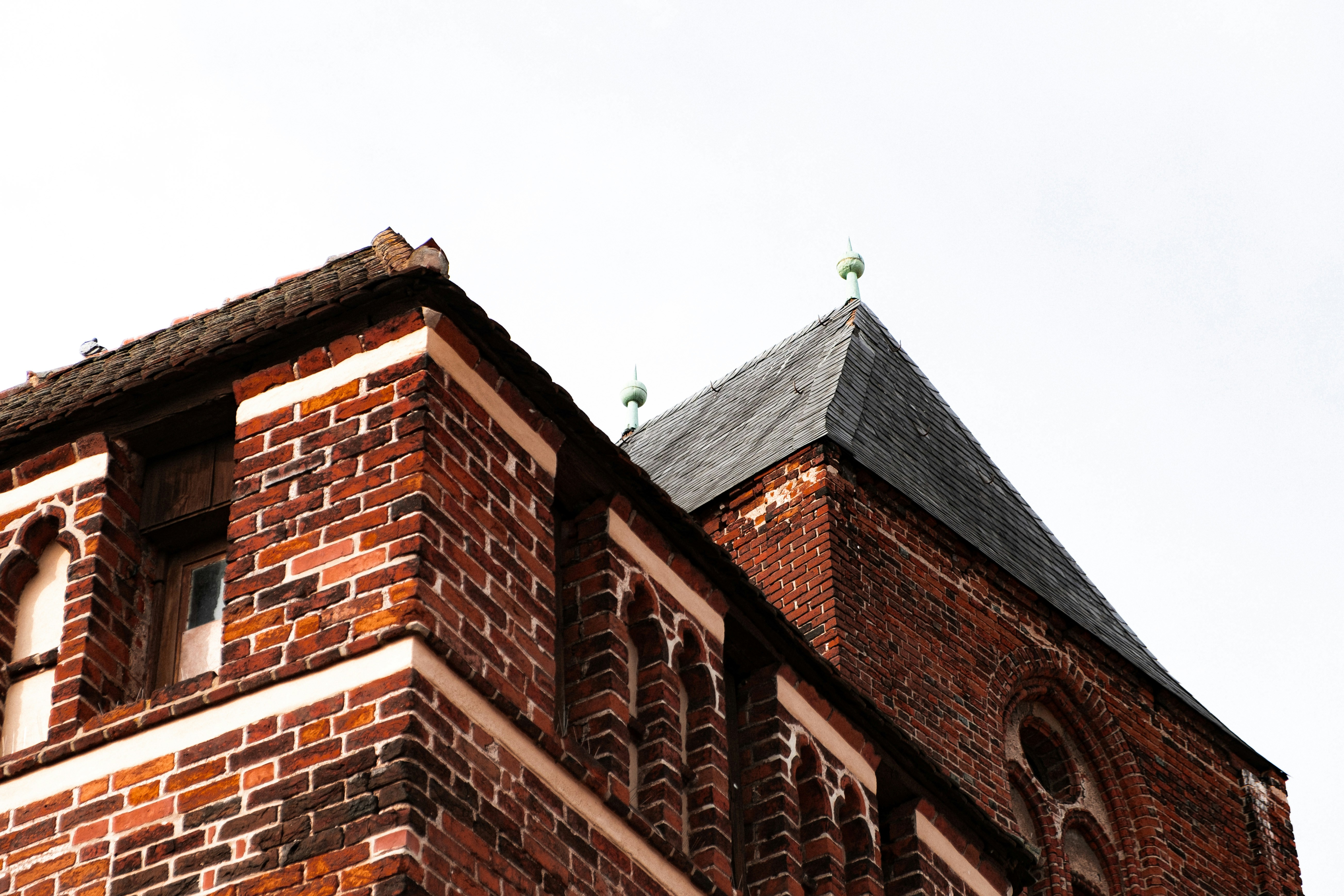 Photo by moritz_photography