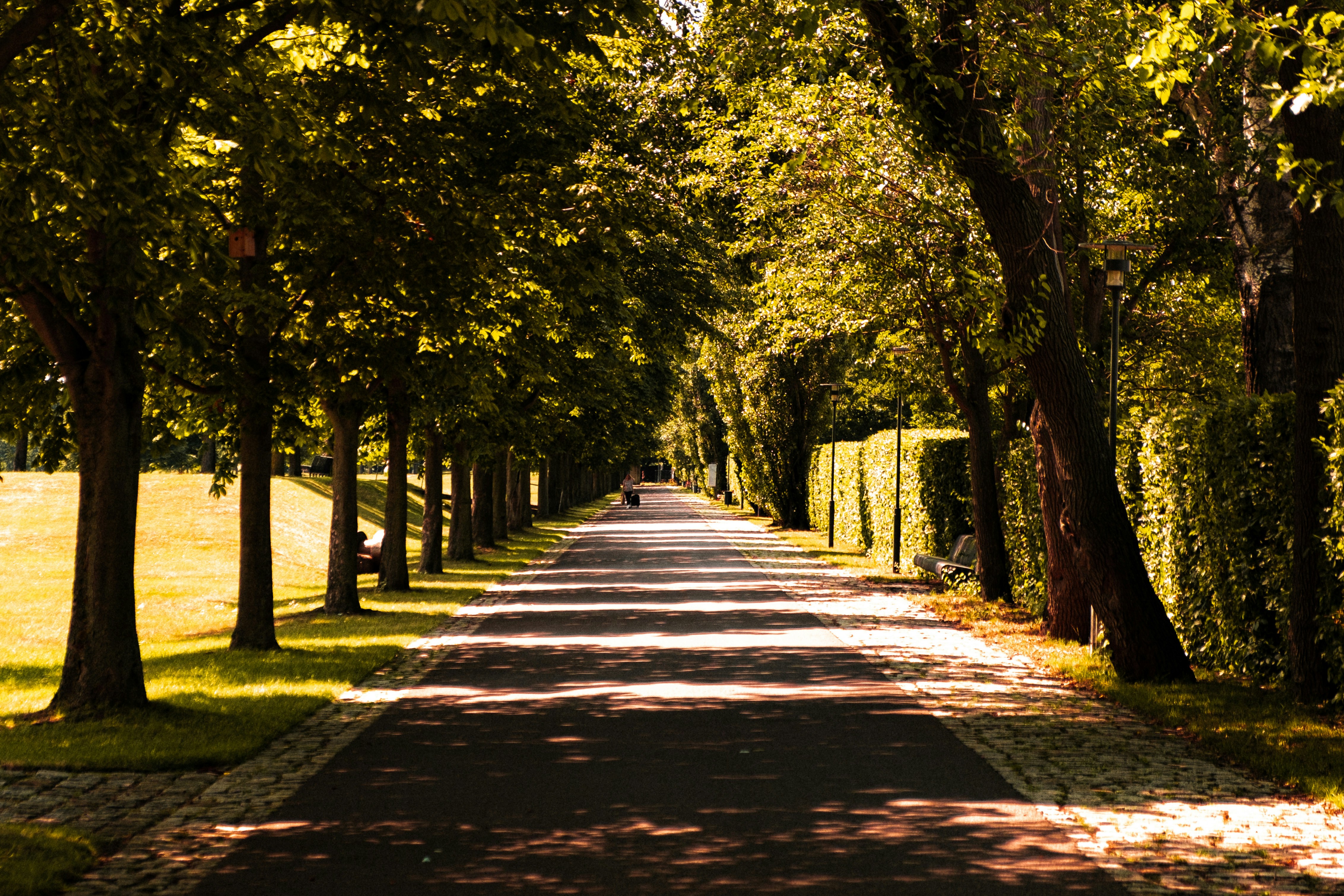 Photo by moritz_photography