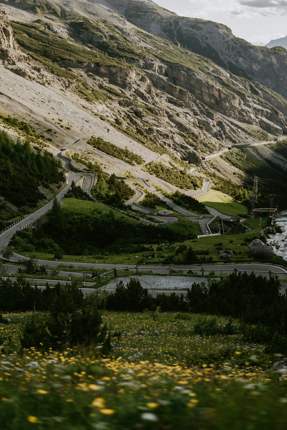 green trees on mountain during daytime