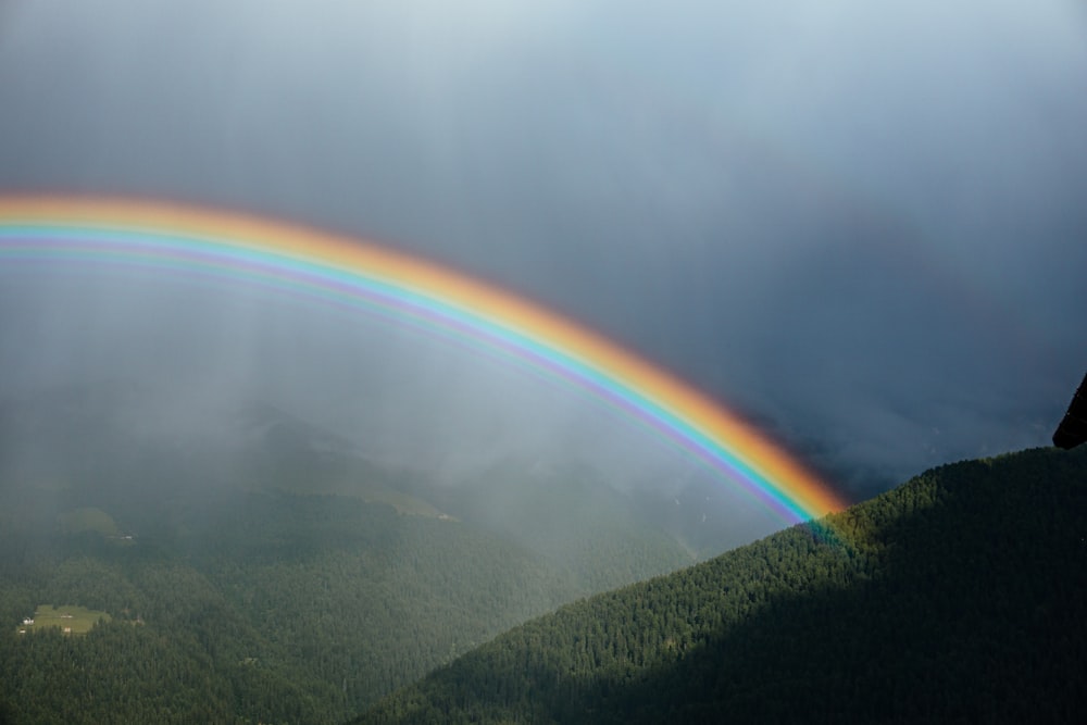 green grass field under rainbow