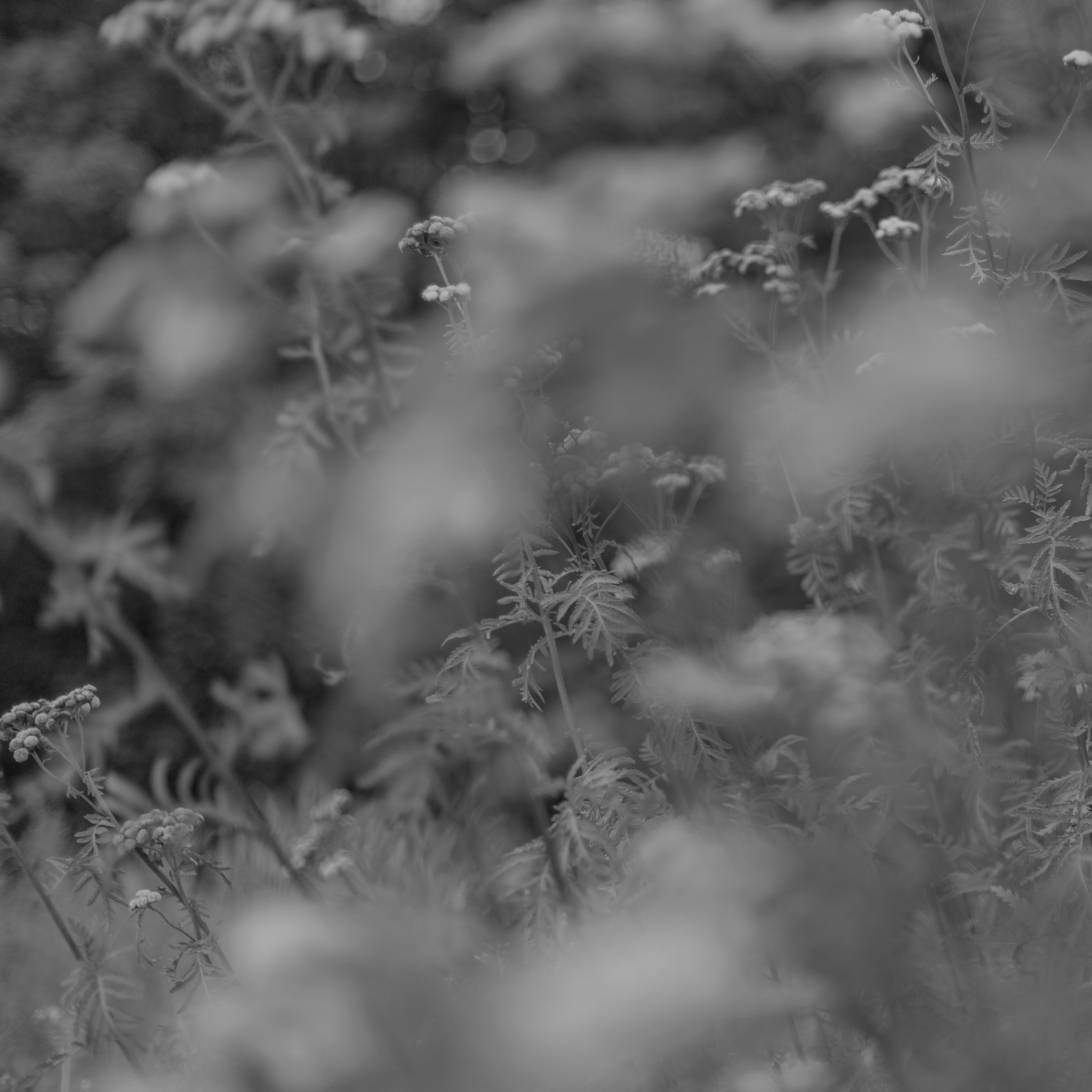 Photo by zdzieblowski