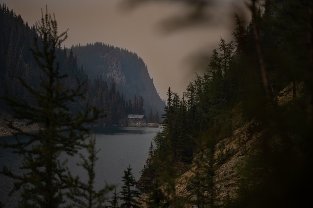 green trees near body of water under cloudy sky during daytime