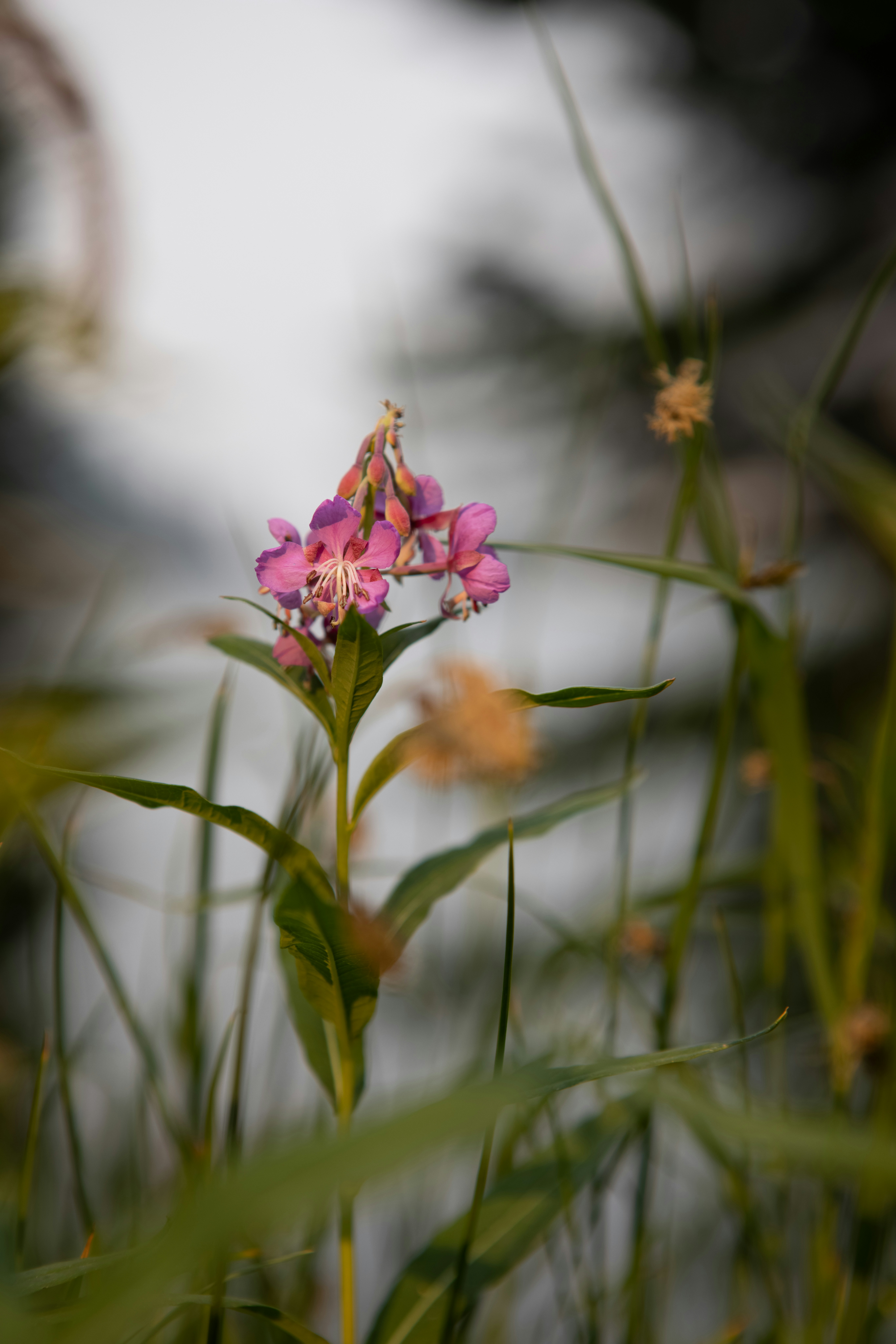 Photo by capturesawyer