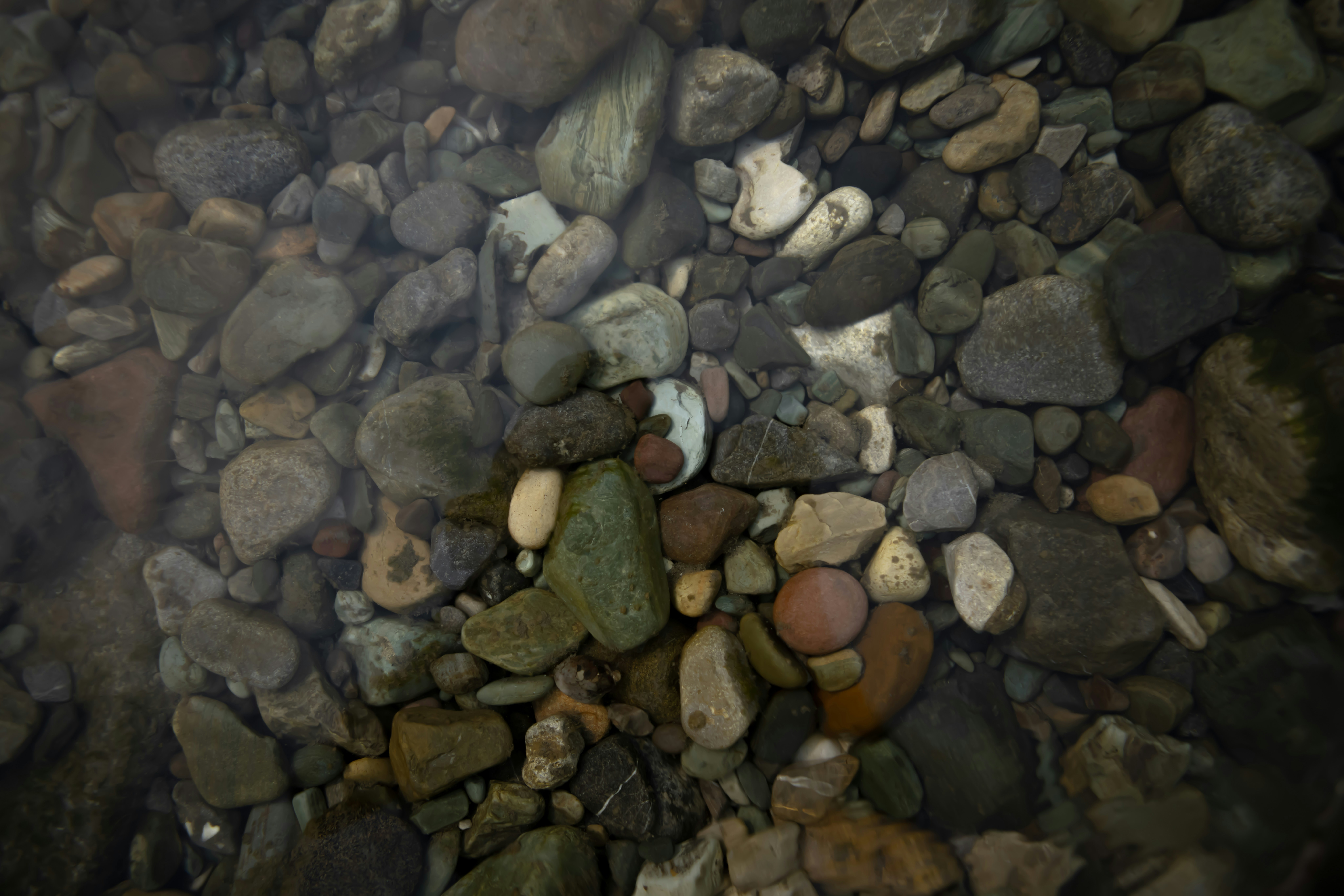 Photo by capturesawyer