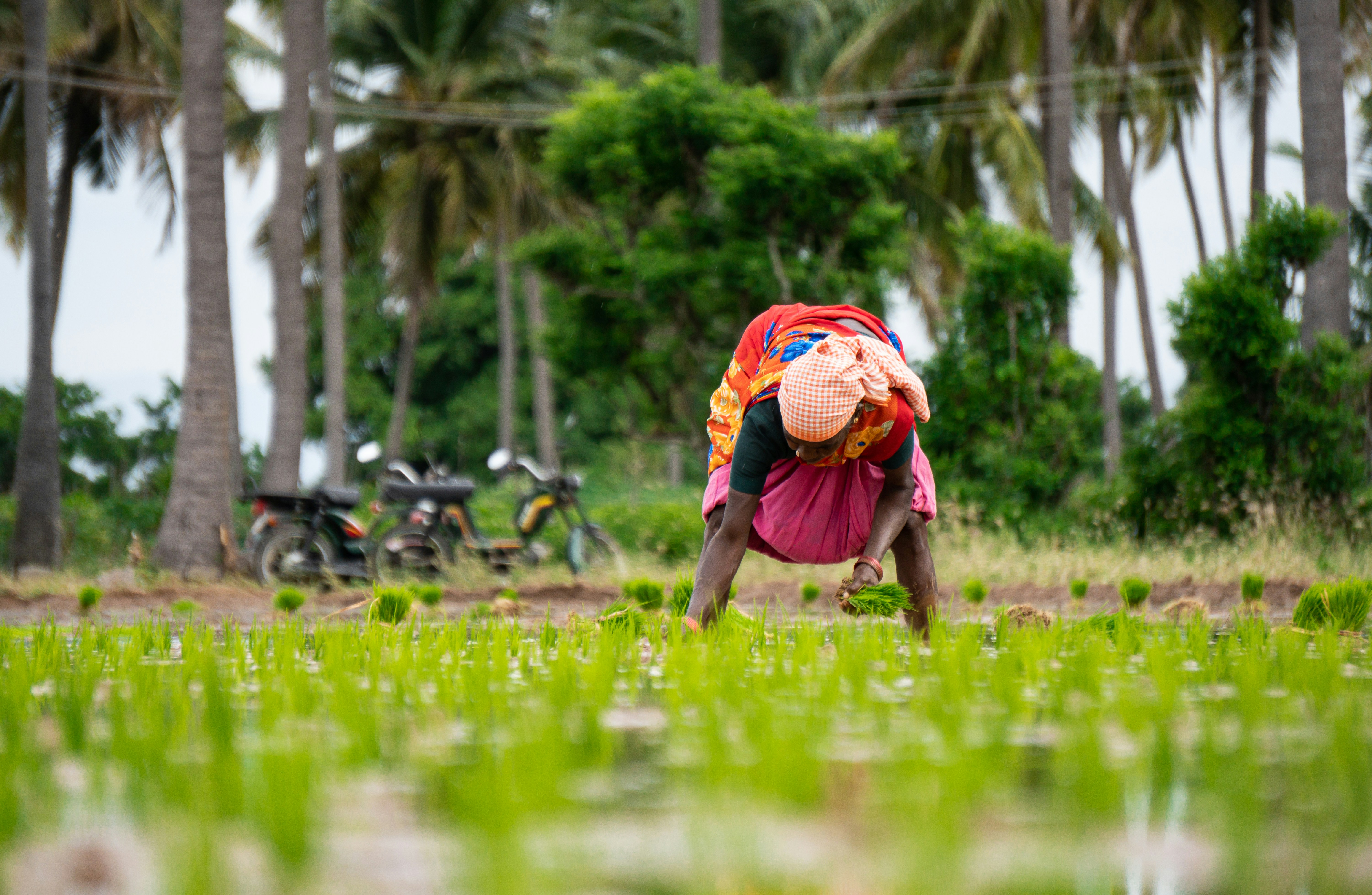 Dirt Rich: Why the Next Big Agricultural Payout Might Come From the Ground Beneath Your Feet