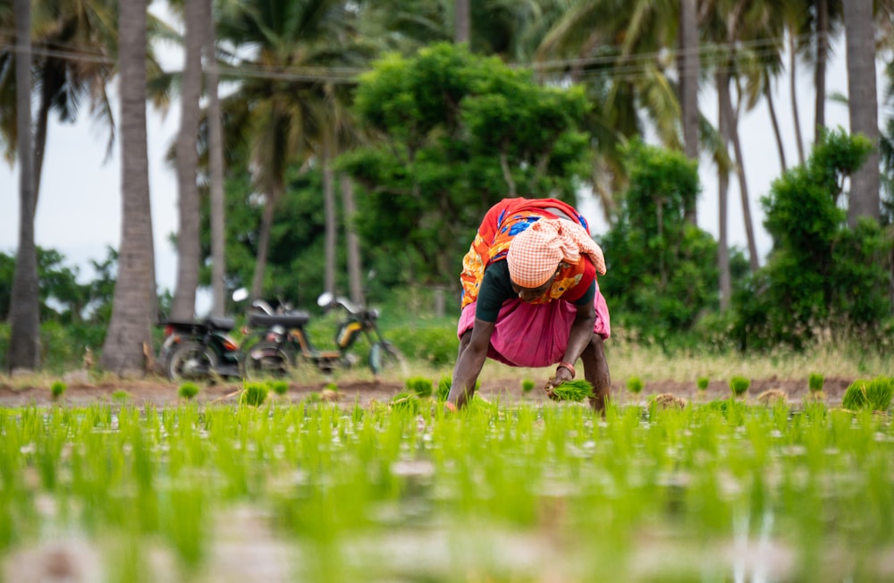 person in red jacket and black pants carrying brown bag walking on green grass field during