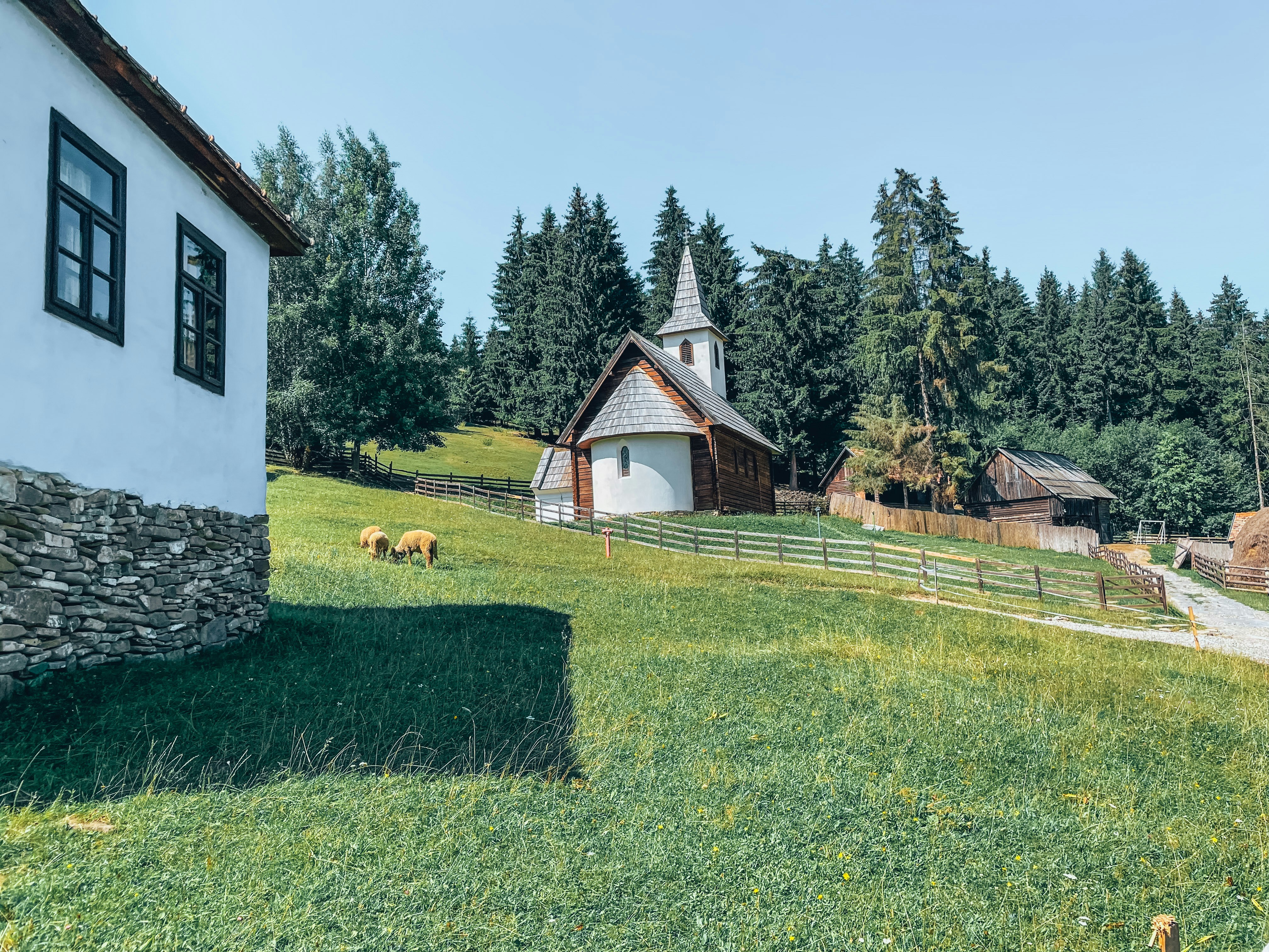 Photo by attilajanosi