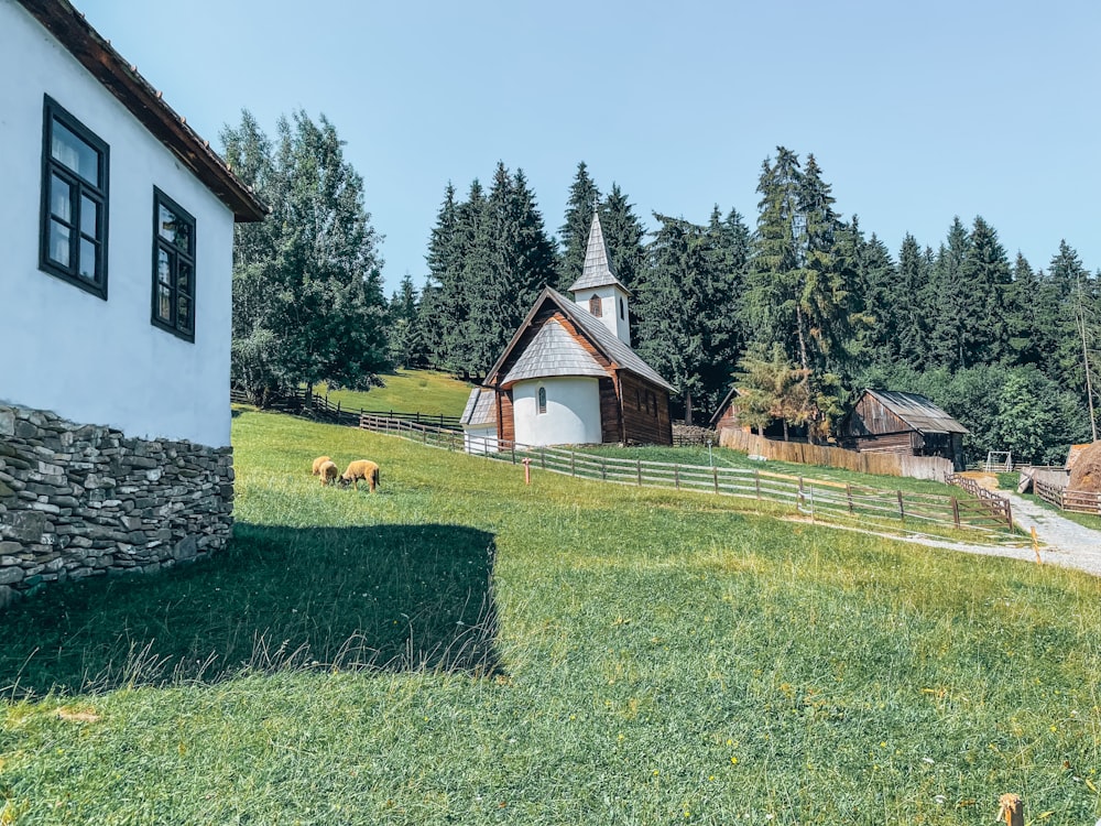 Casa blanca y marrón en campo de hierba verde