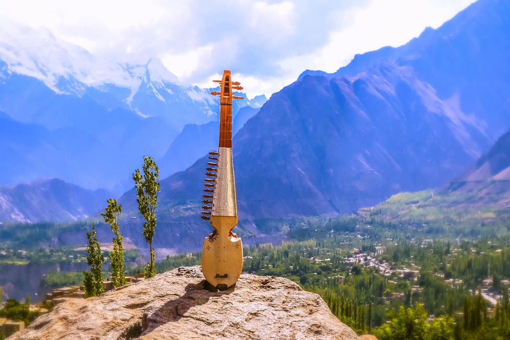 guitare acoustique brune sur roche brune près d’arbres verts pendant la journée