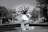 A person is kneeling on a street with their hair styled in long, distinct dreadlocks that are fanned out dramatically in the air. The scene is set outdoors in a somewhat urban environment with trees and a few people in the background. The image is in black and white, adding a classic and timeless feel.