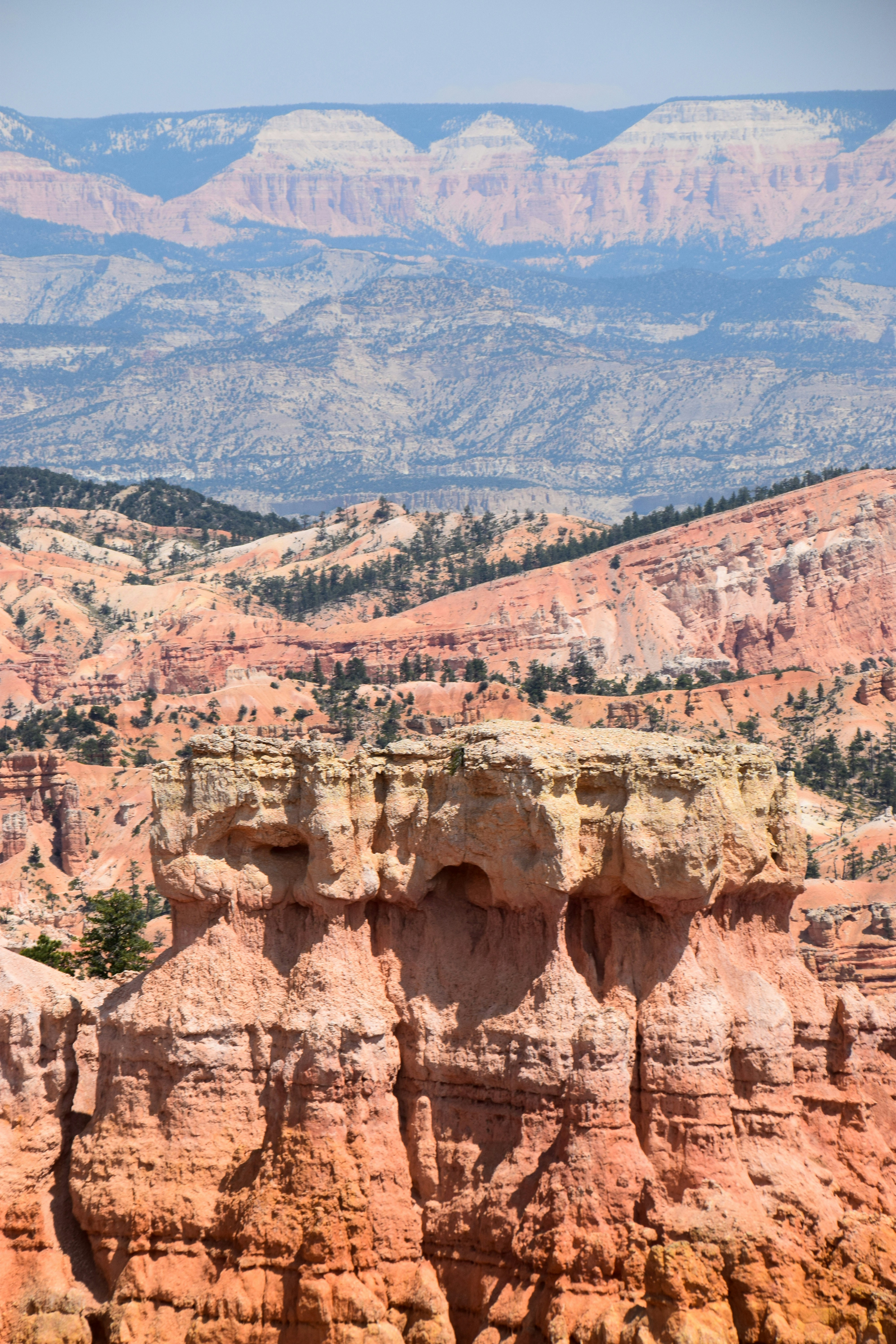 Photo by bwatsonphotos