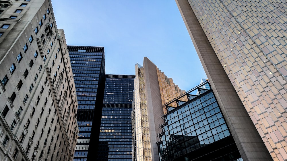 brown and black concrete building during daytime