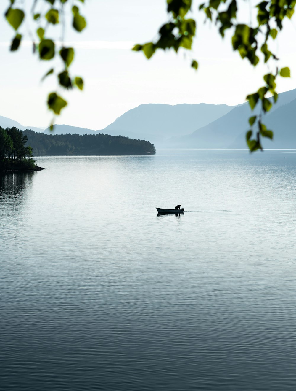 personne en chemise noire équipant sur un bateau sur le lac pendant la journée
