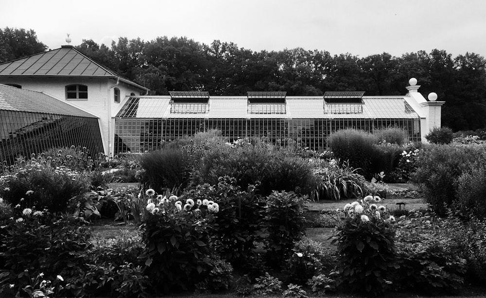 grayscale photo of house near trees