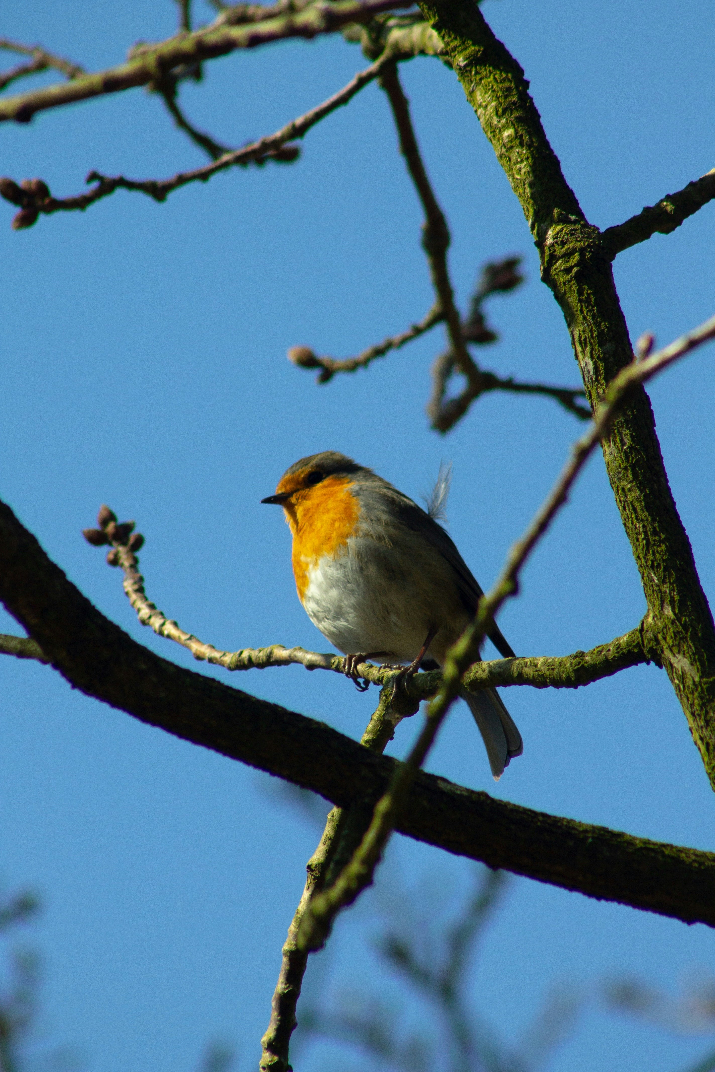 Photo by xmichellestendert