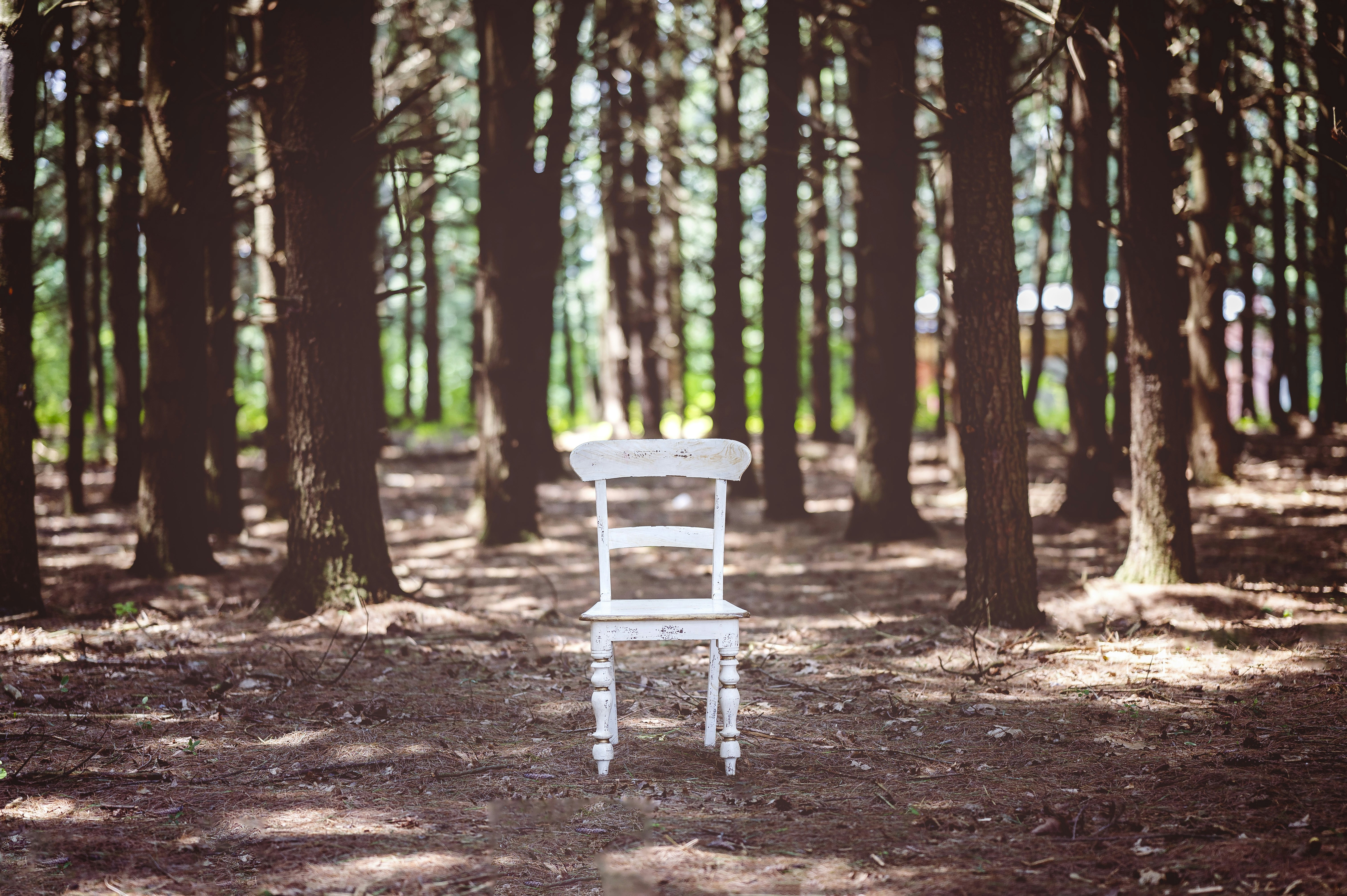 white wooden chair on forest during daytime