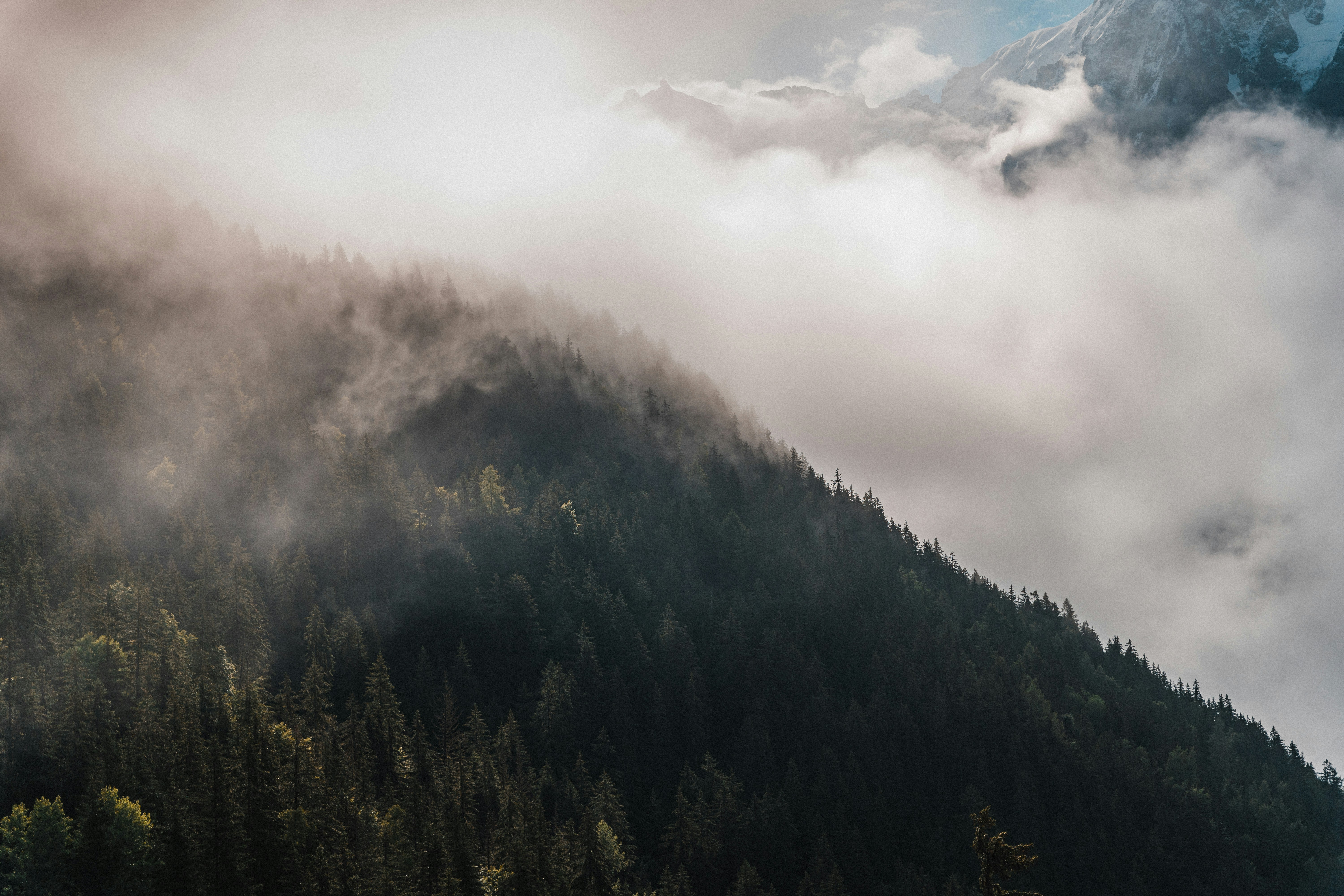 Photo by justinbuisson