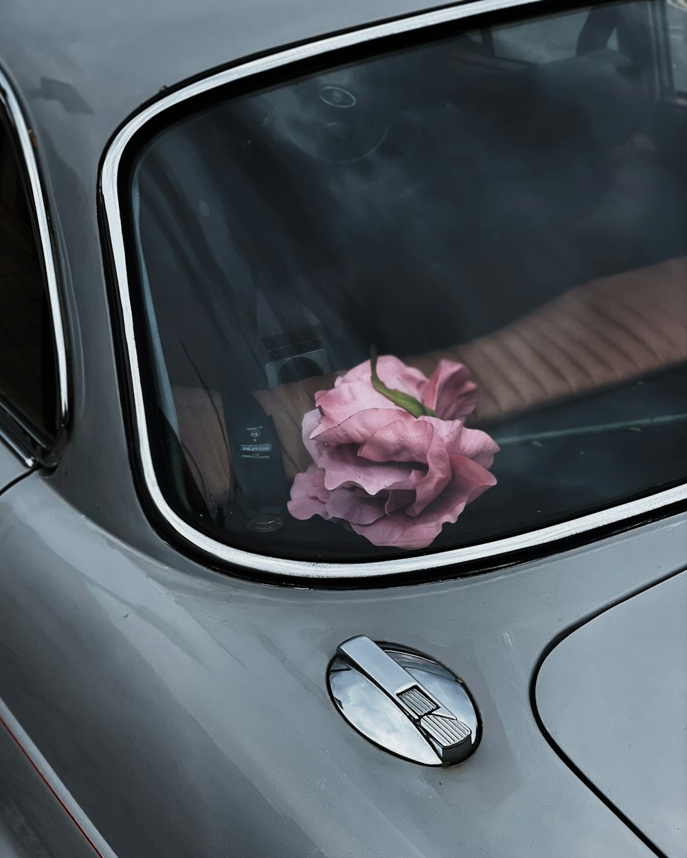 pink flower on car dashboard