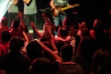 people gathering on a concert
