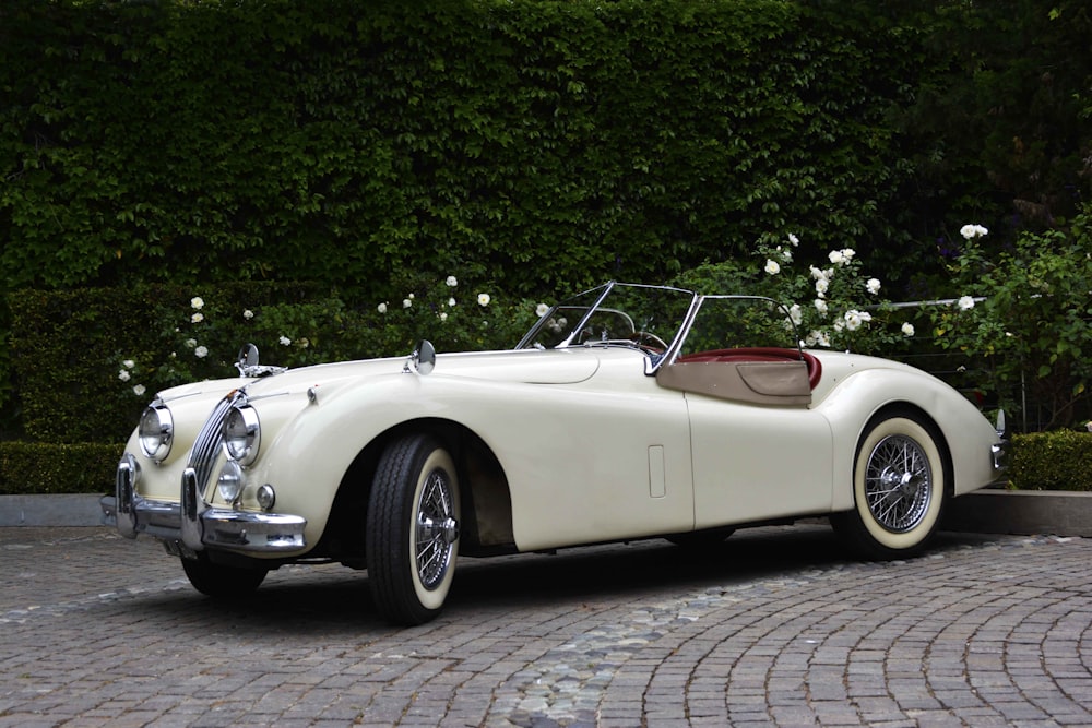 white convertible coupe parked on gray concrete pavement