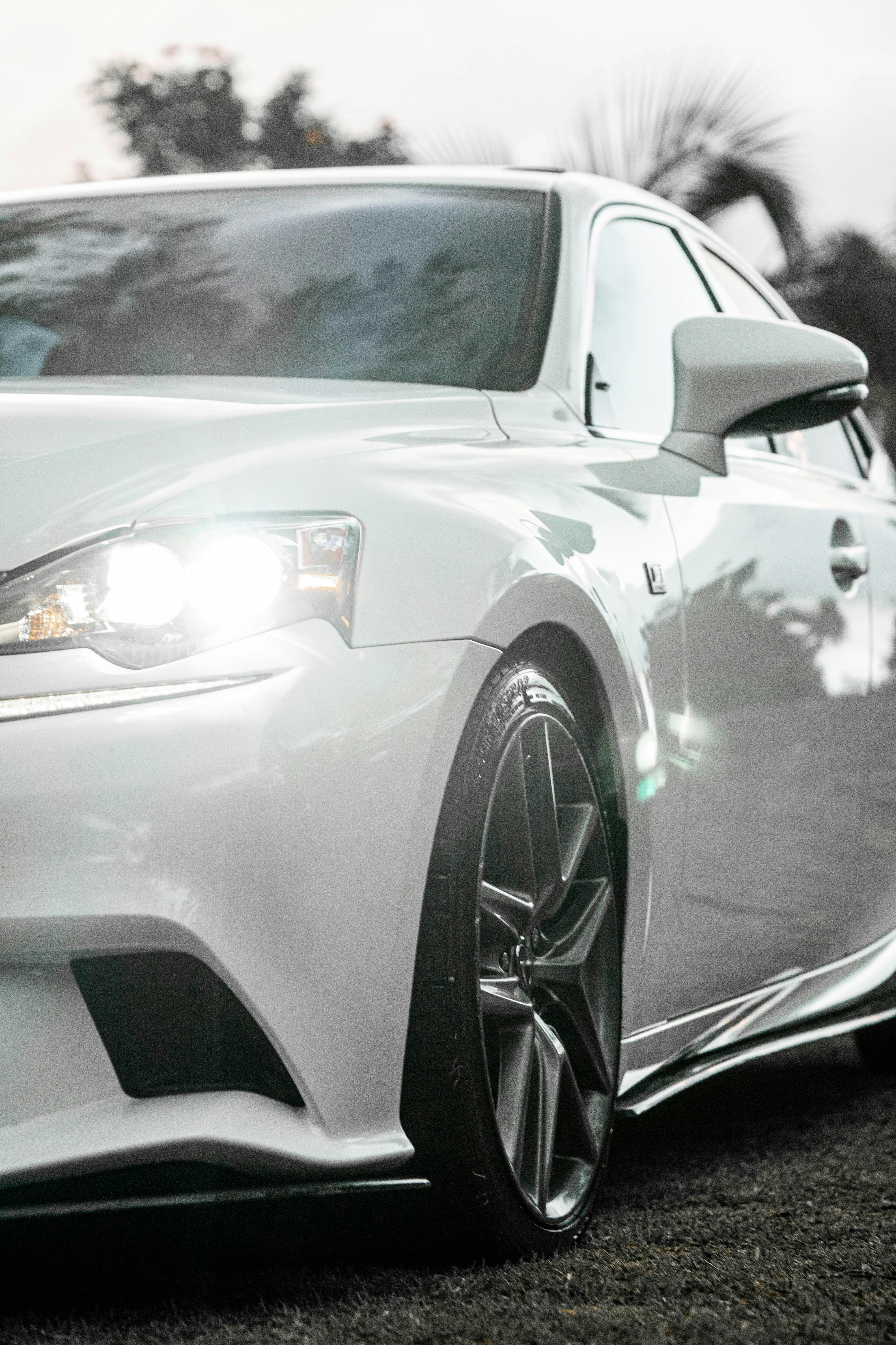 Photo by taiscaptures