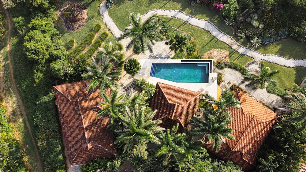 aerial view of swimming pool surrounded by trees