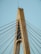 A modern cable-stayed bridge tower with numerous cables extending outward. The structure is made of concrete and steel, showcasing an architectural design with vertical and diagonal elements.