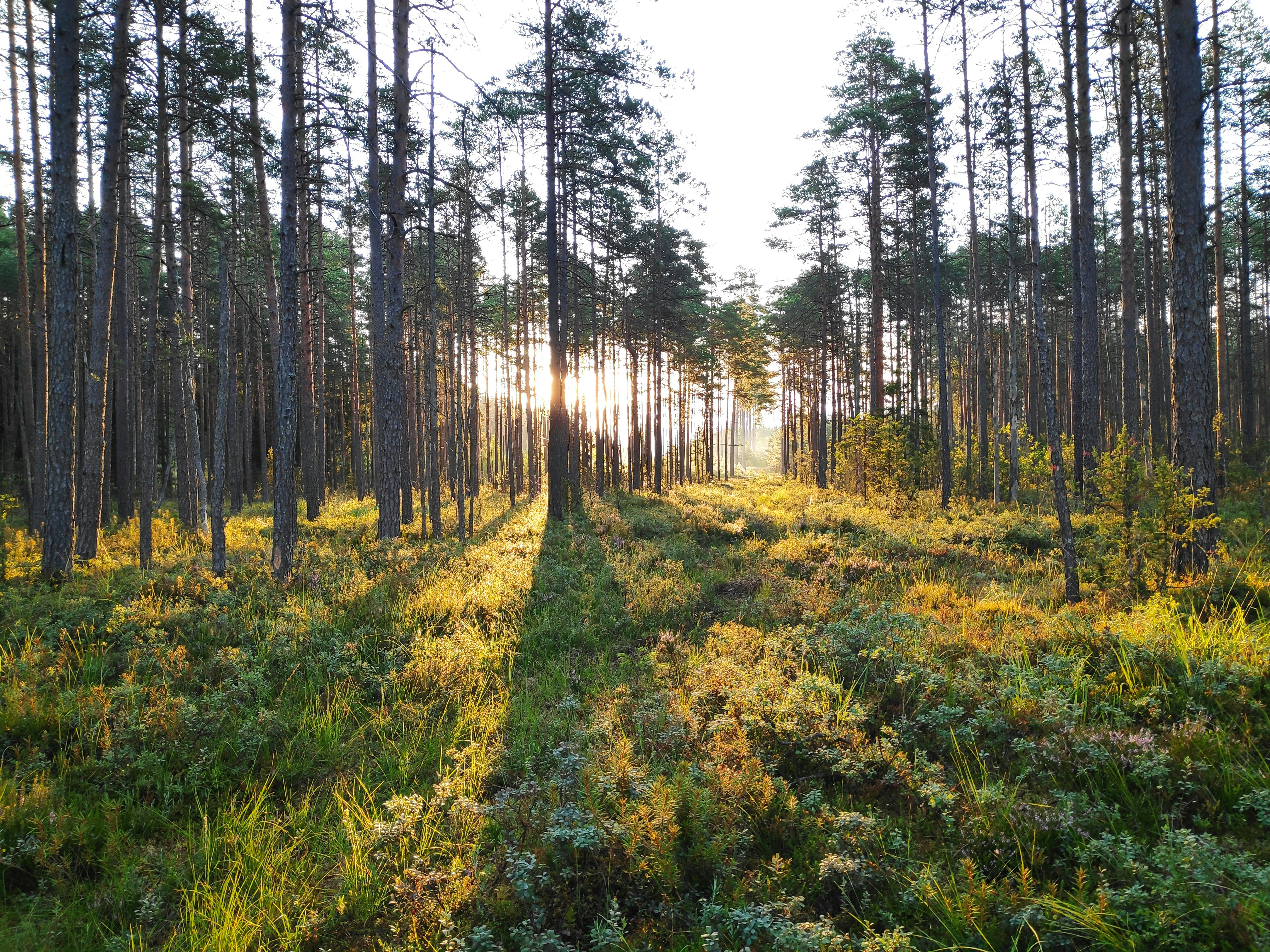 Photo by lasma_fedotova