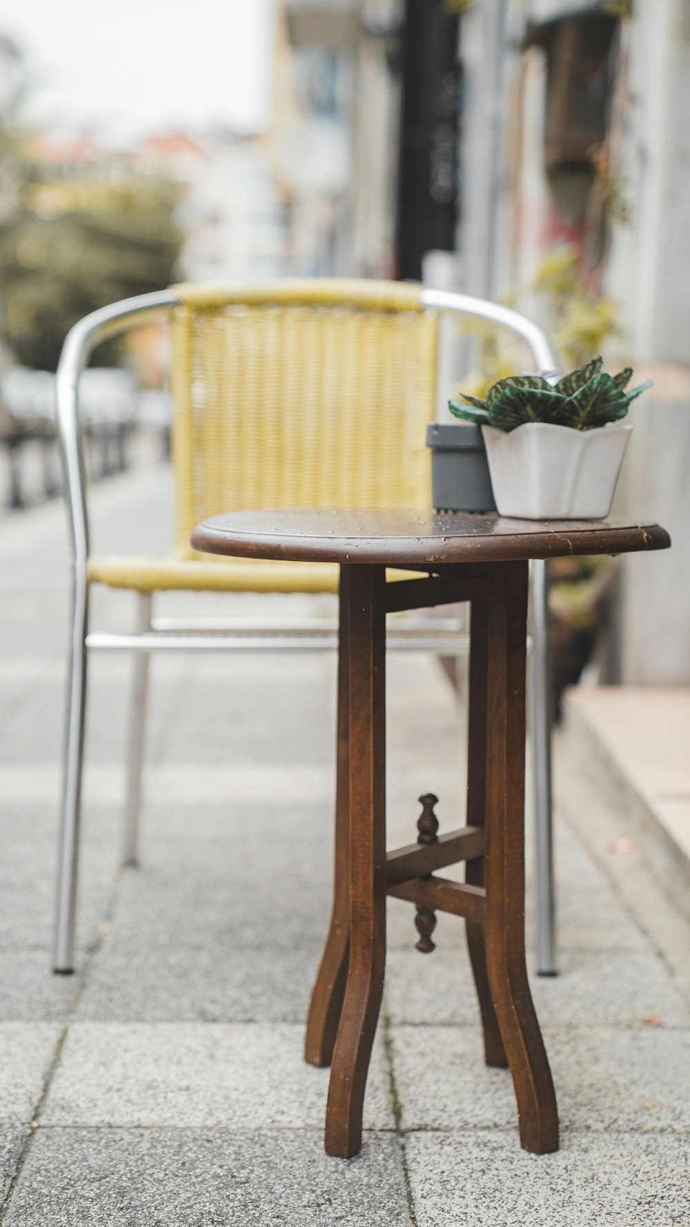 tavolo in legno marrone con pianta verde sopra