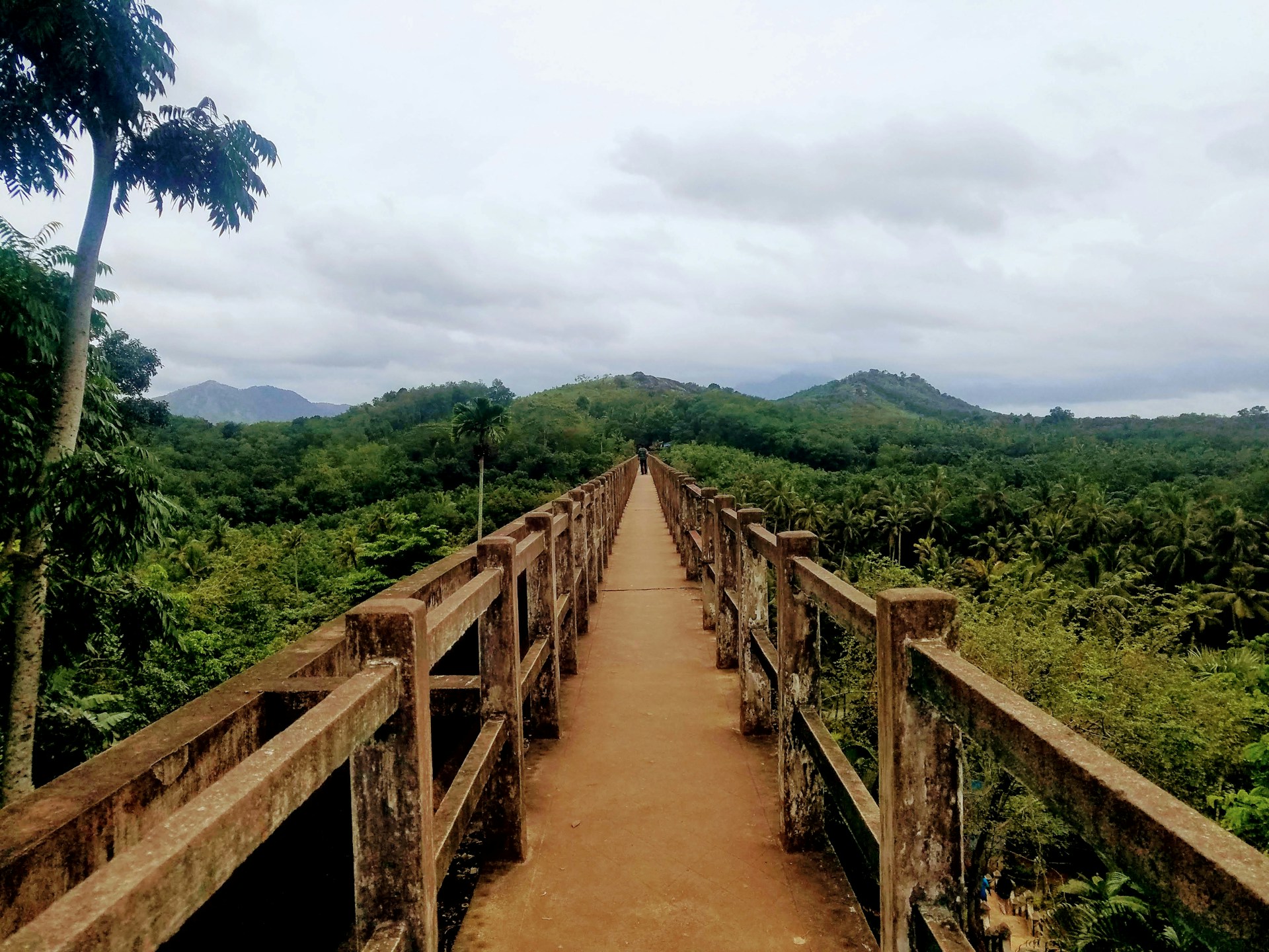 brown wooden bridge over green mountain during daytime