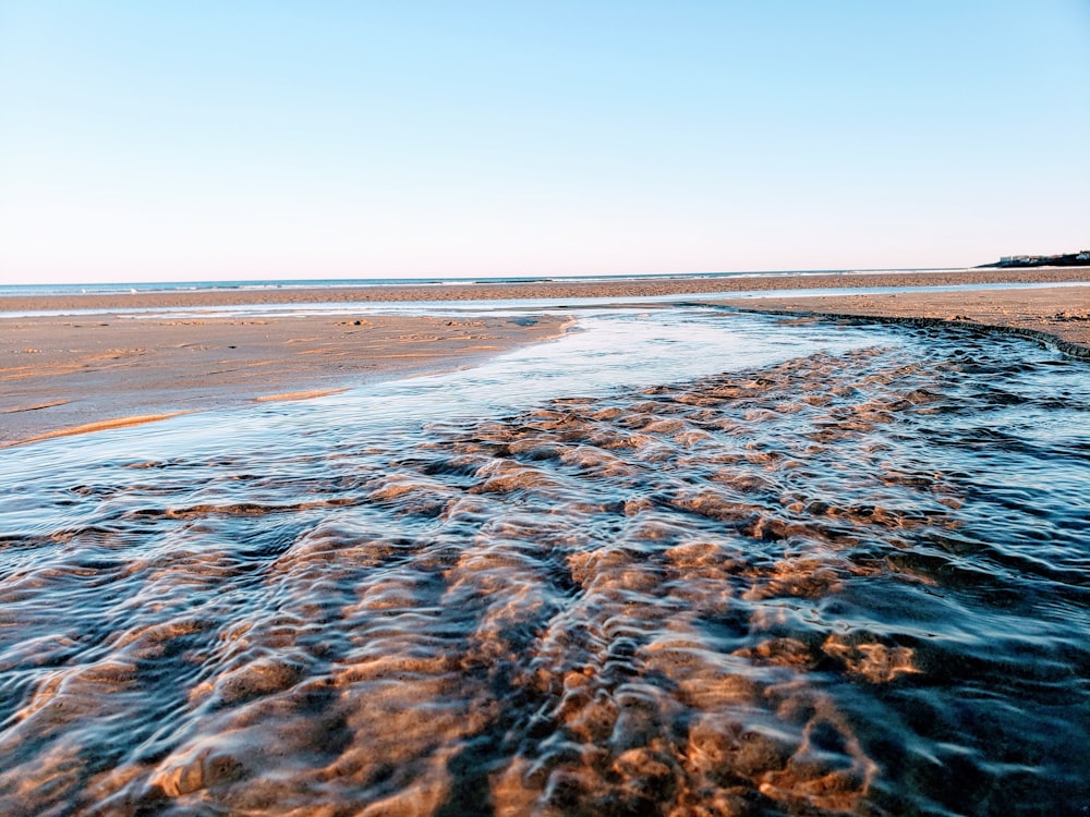 sable brun près d’un plan d’eau pendant la journée