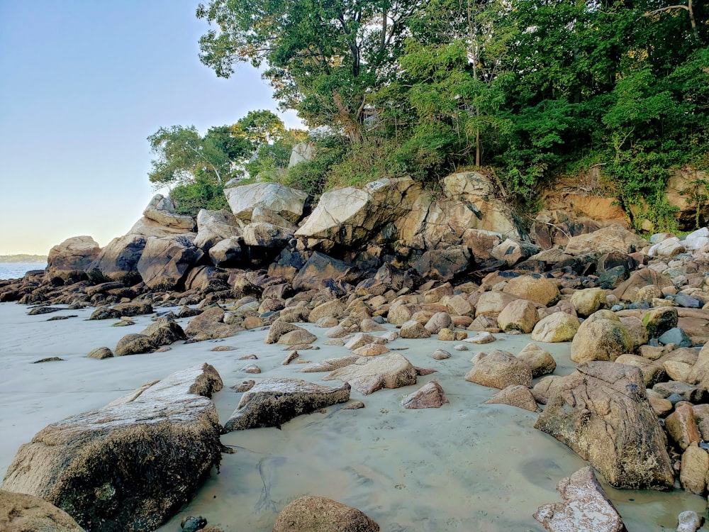 brown rocks on body of water during daytime