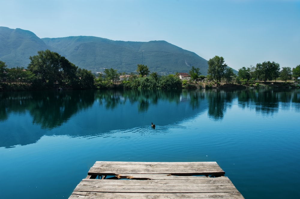 Quai en bois brun sur le lac pendant la journée