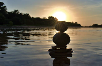 black and brown stone on water during sunset